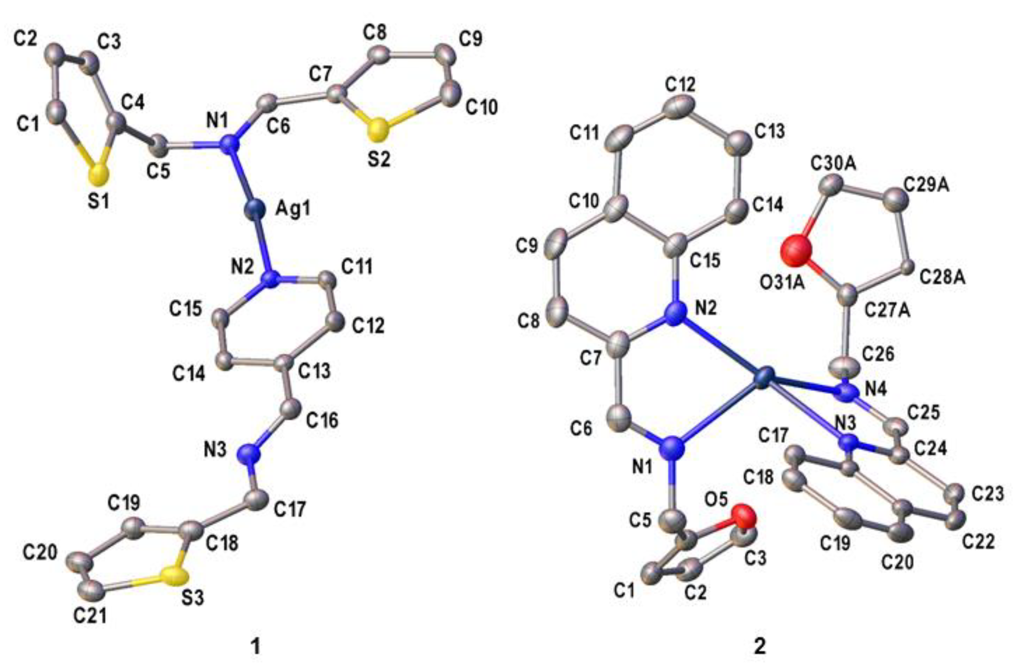 Molbank 2021 m1235 g001 Molbank 2021 m1235 g001