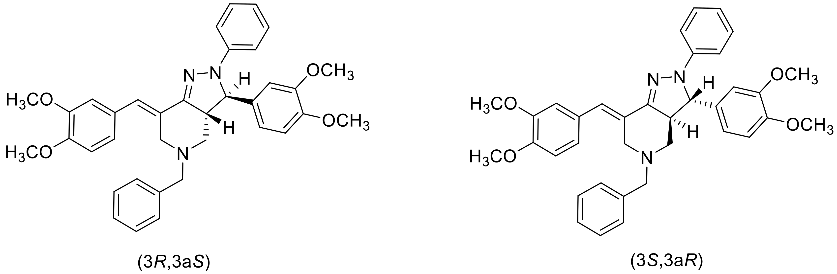 Molbank 2021 m1240 g003