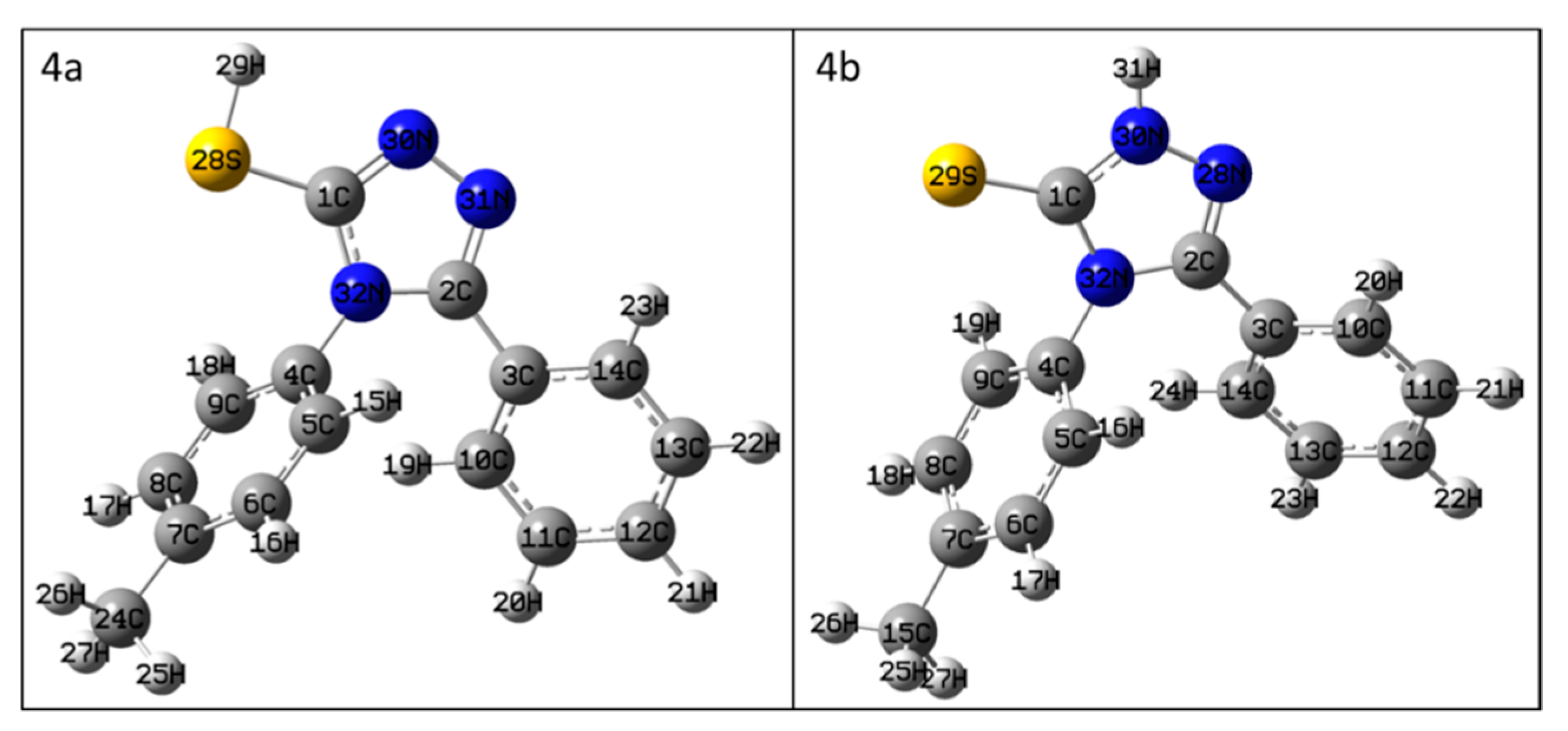 Molbank 2021 m1241 g001