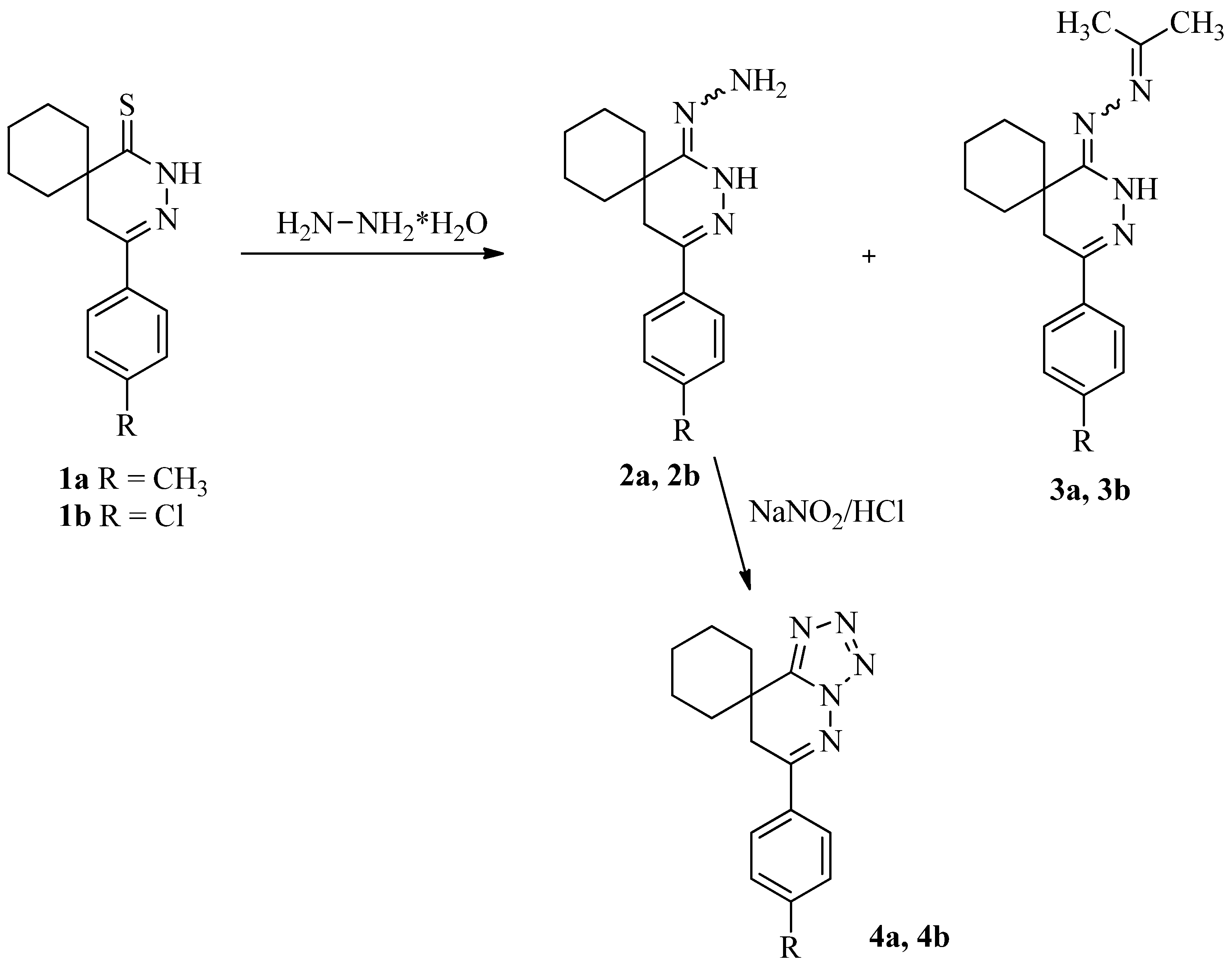 Molbank 2021 m1243 sch001
