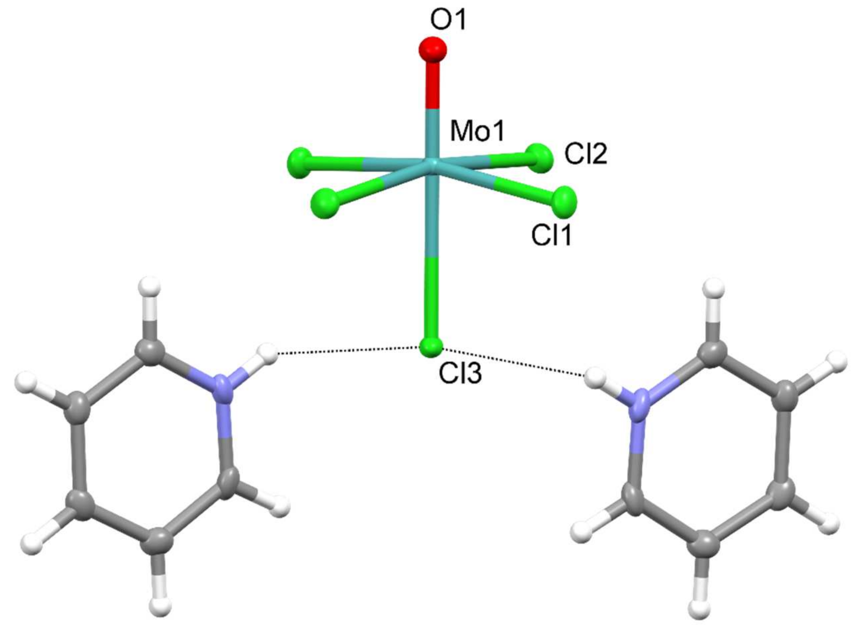 Molbank 2021 m1249 g001