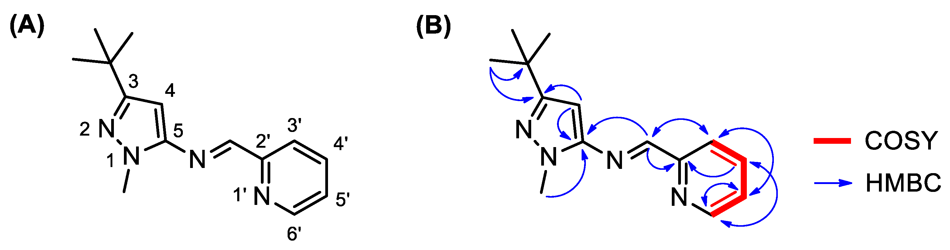 Molbank 2021 m1250 g002