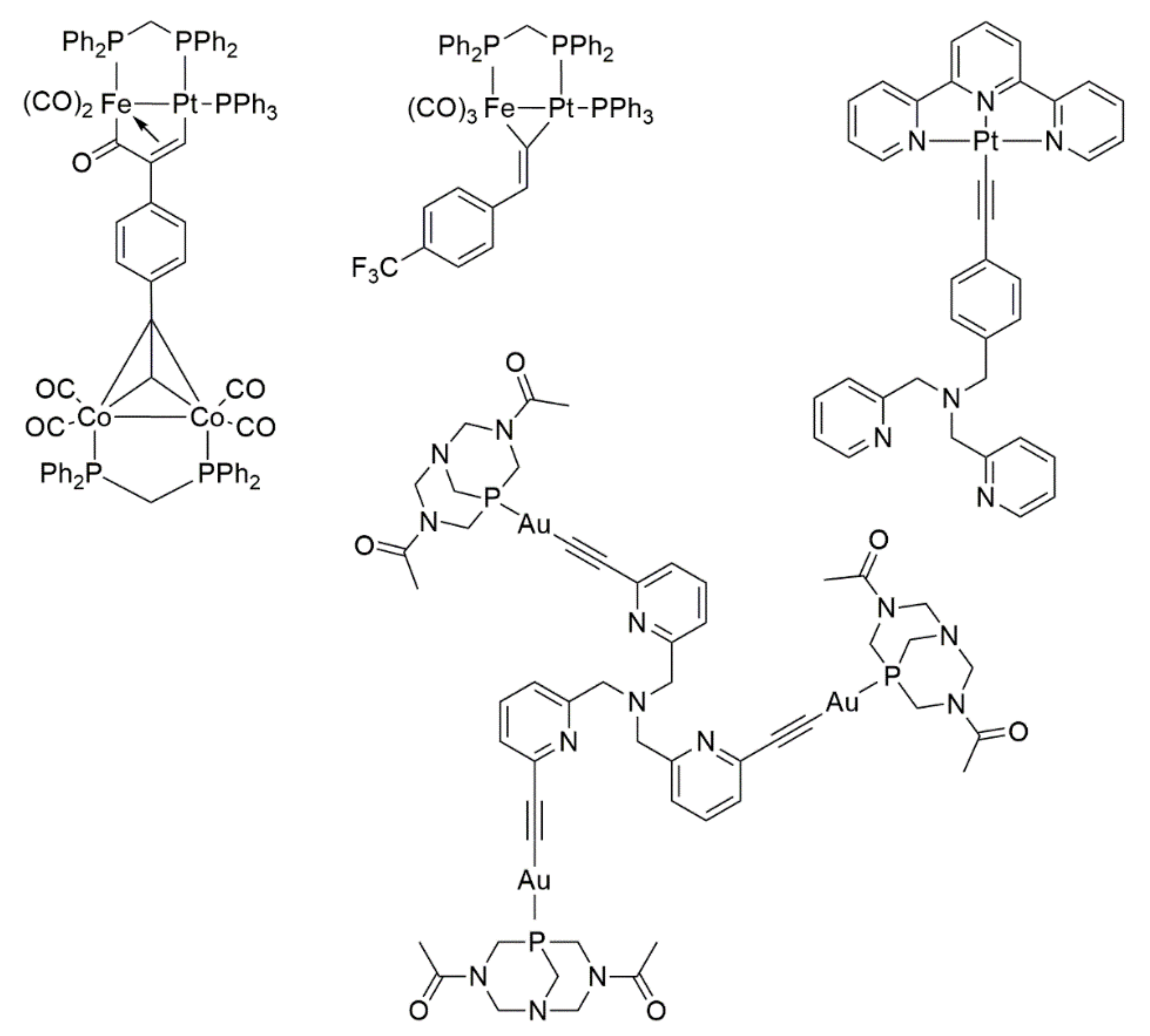 Molbank 2021 m1252 g003