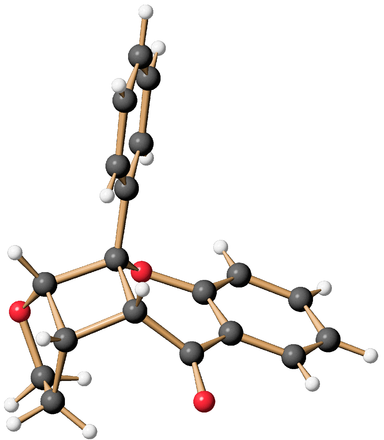 Molbank 2021 m1256 g001
