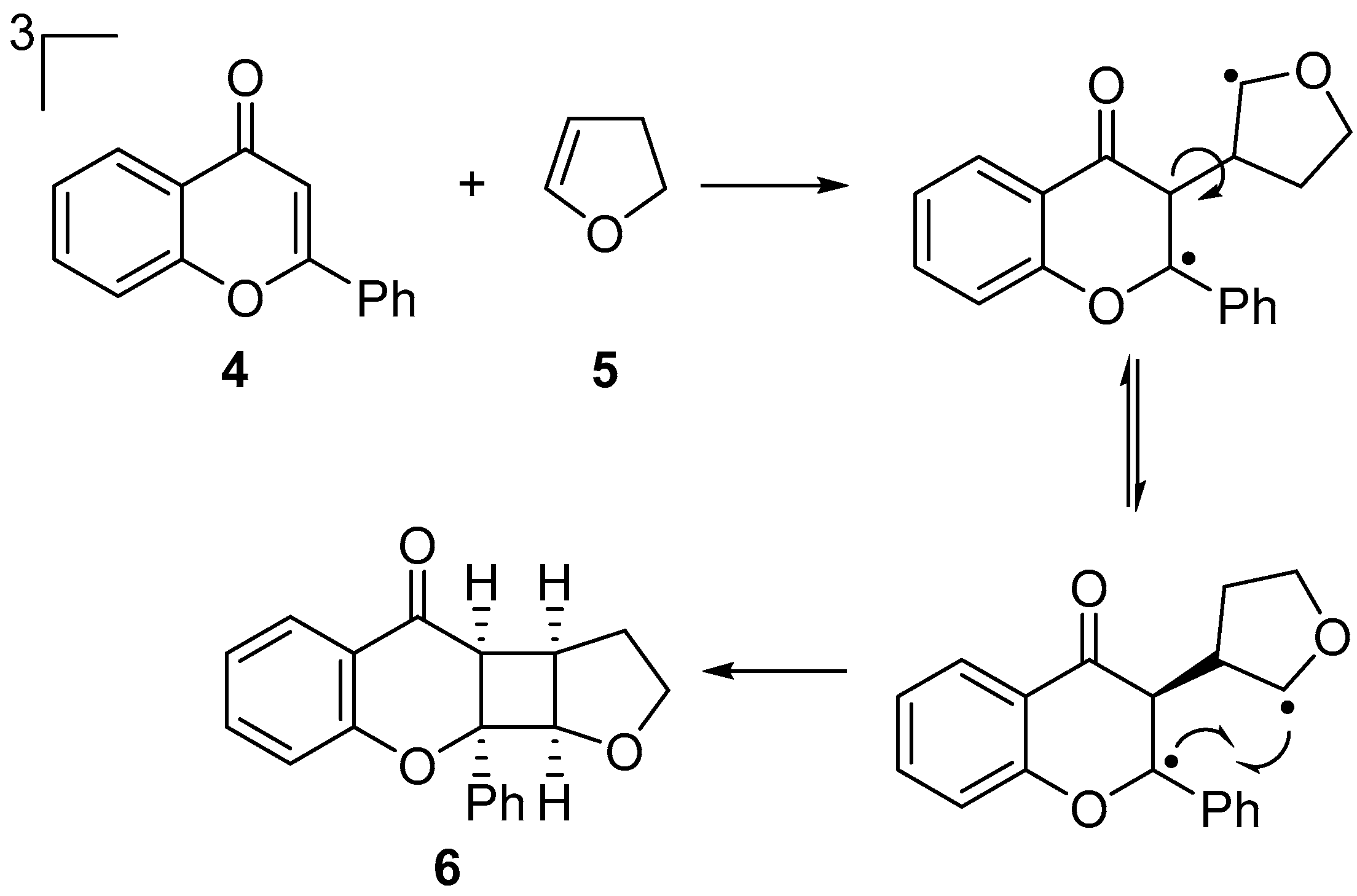 Molbank 2021 m1256 sch004