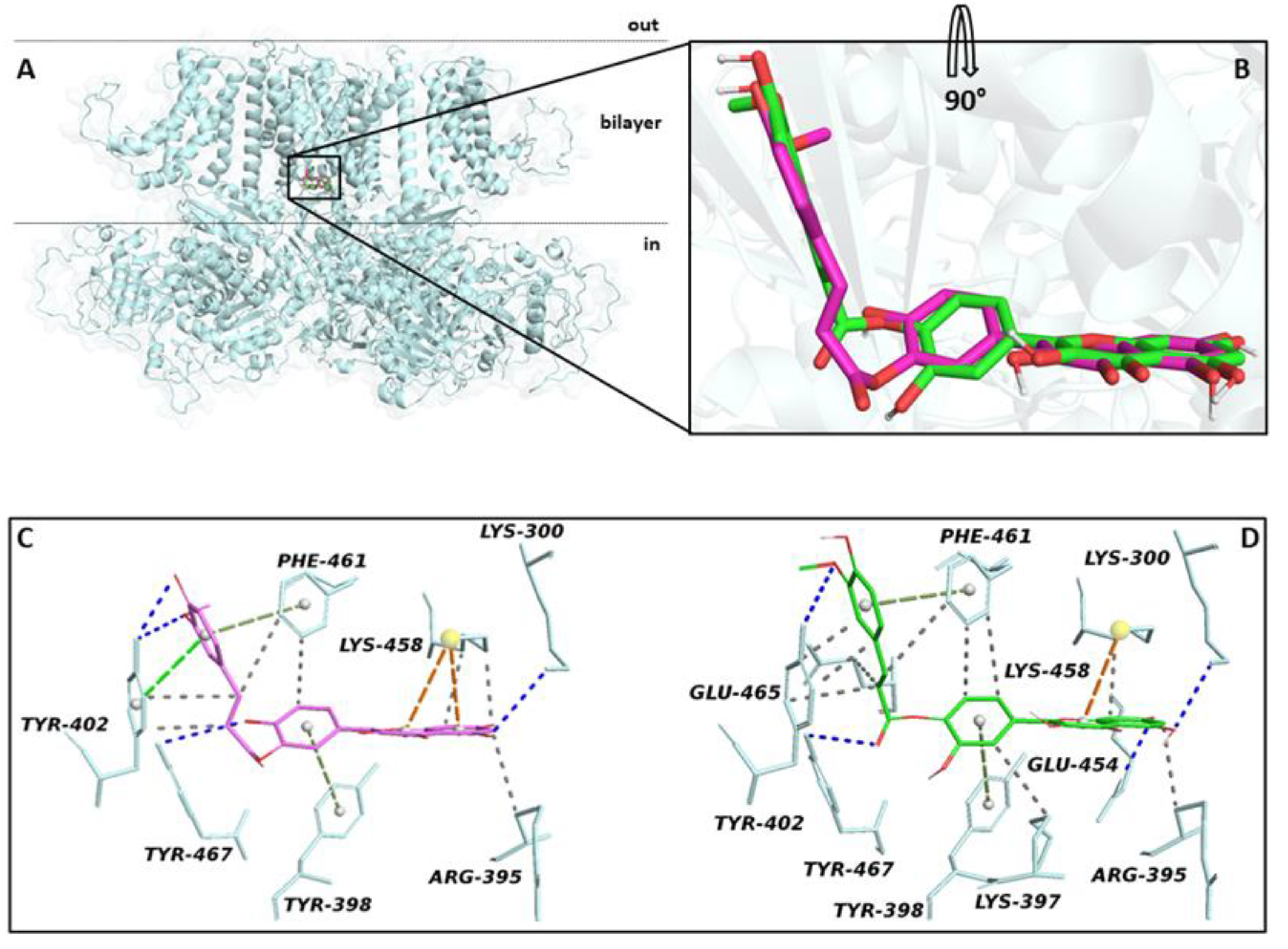 Molbank 2021 m1258 g001