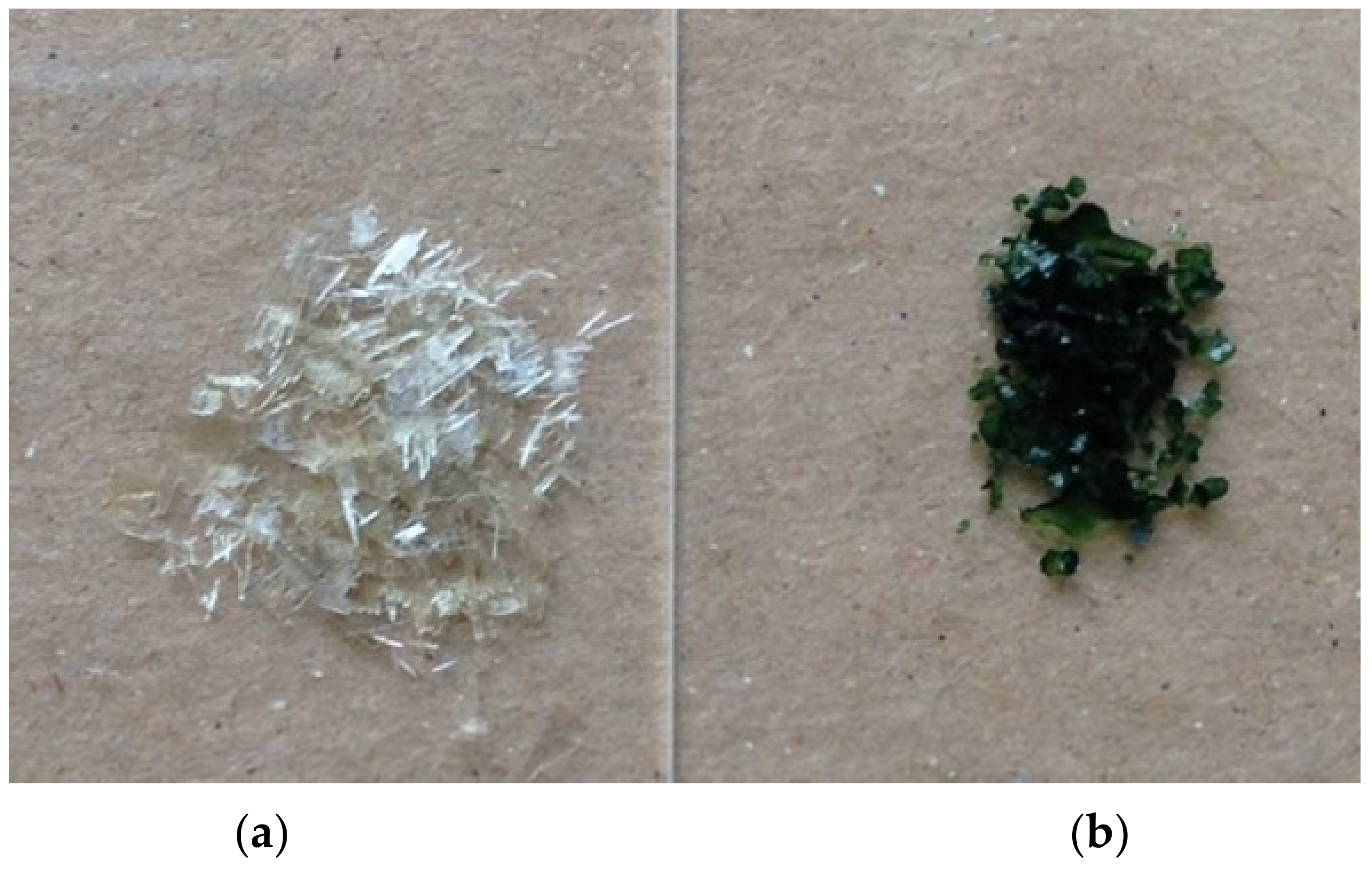 Molbank 2021 m1259 g001