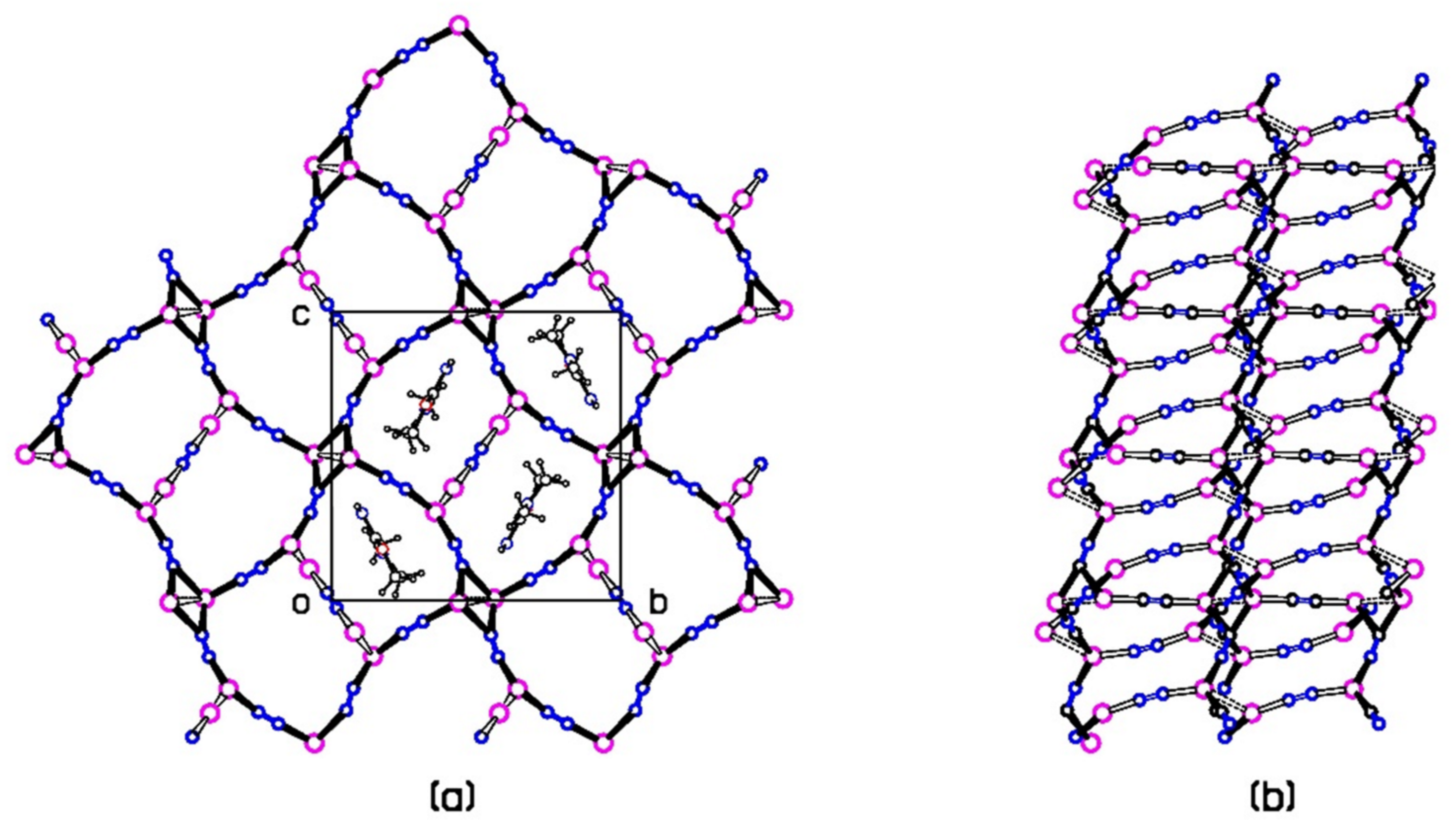 Molbank 2021 m1259 g004