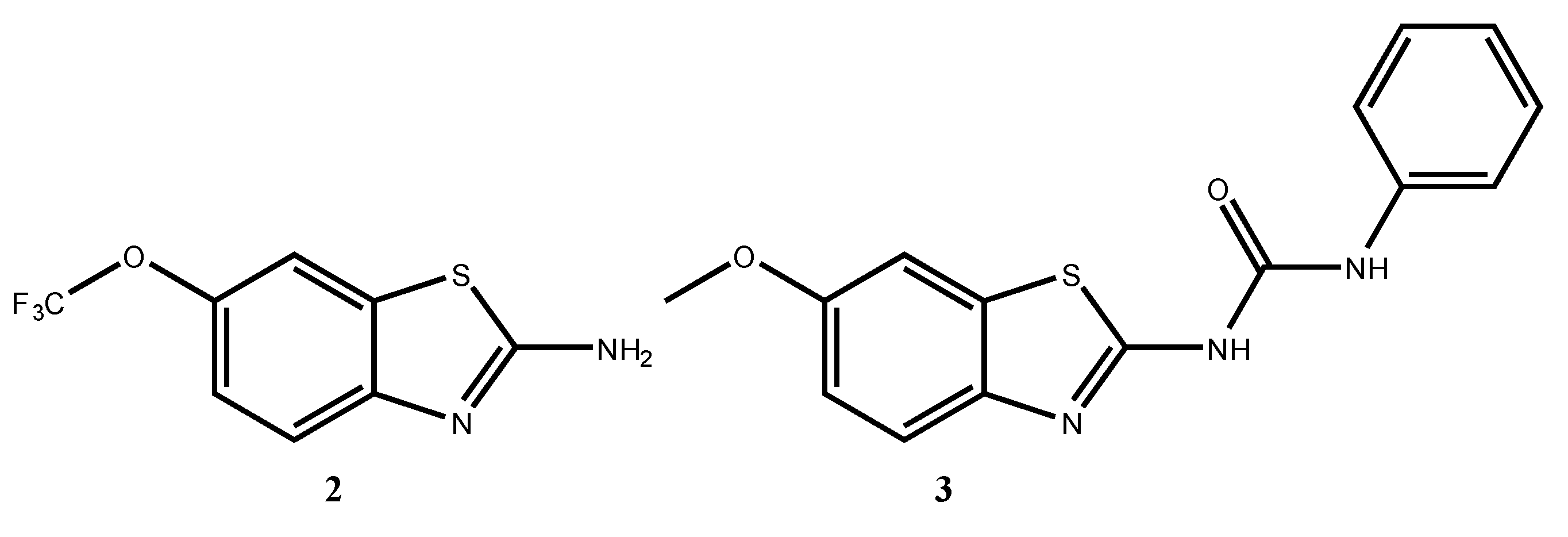 Molbank 2021 m1260 g002