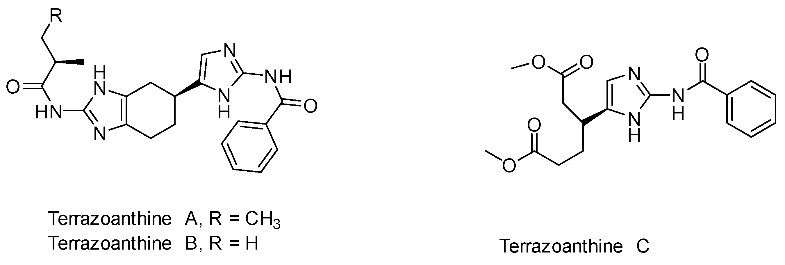 Molbank 2021 m1262 g001