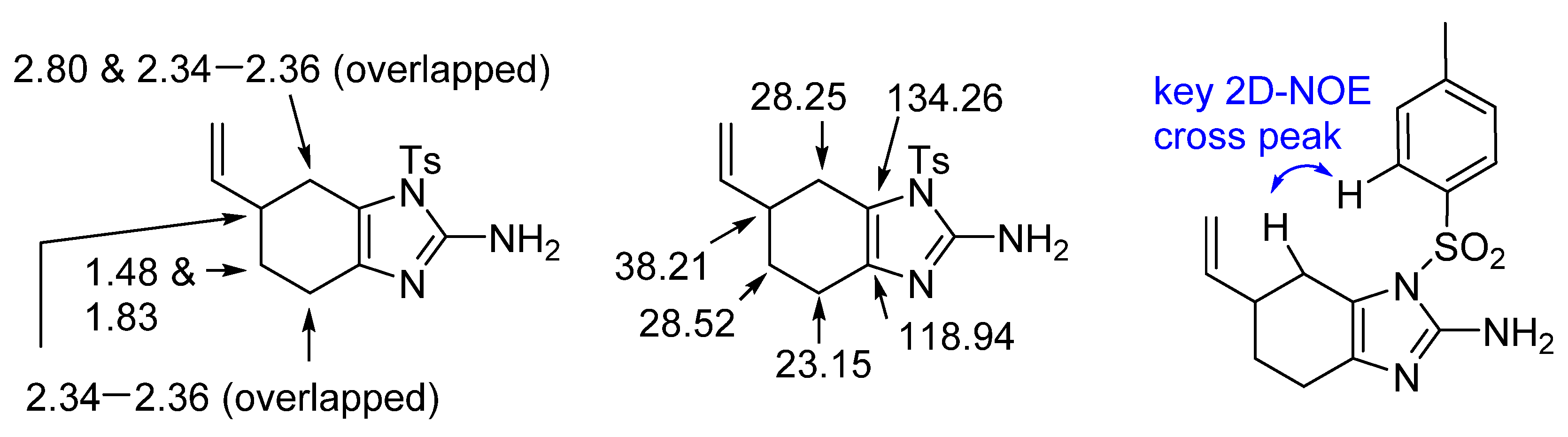 Molbank 2021 m1262 g002