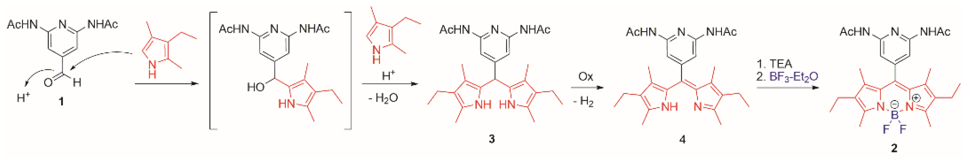 Molbank 2021 m1271 sch002