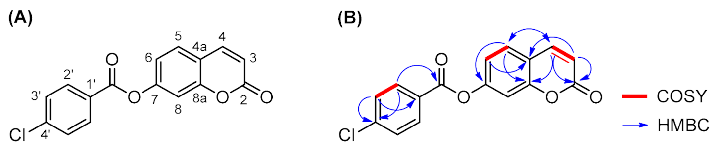 Molbank 2021 m1279 g002