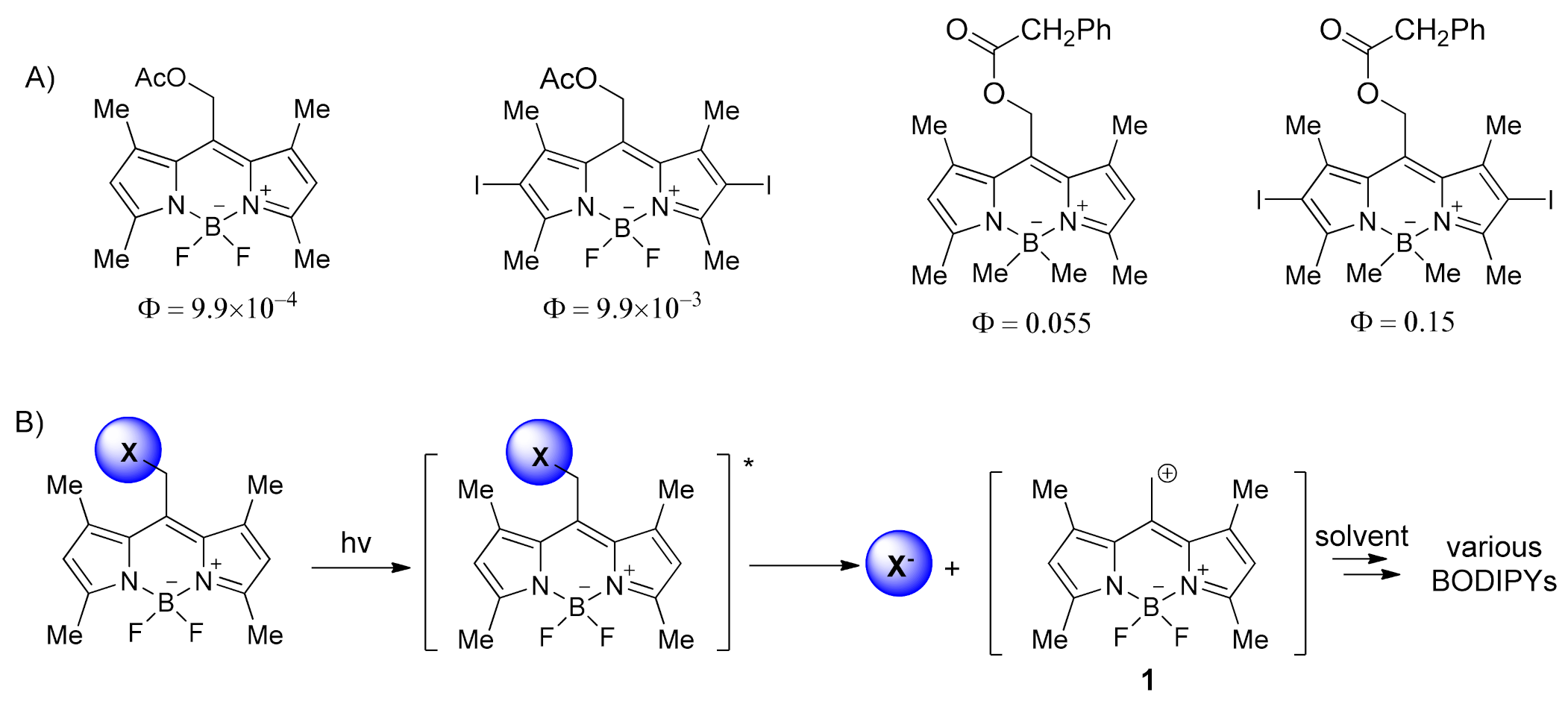 Molbank 2021 m1286 g001