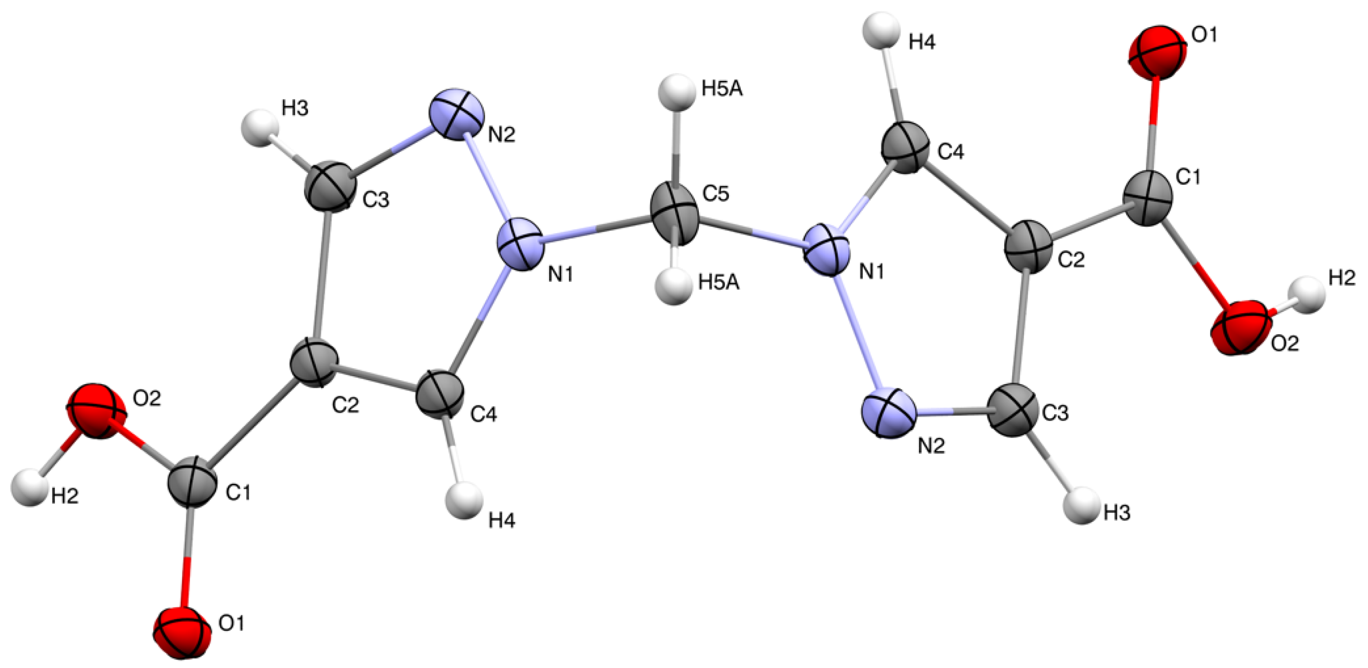 Molbank 2021 m1298 g001