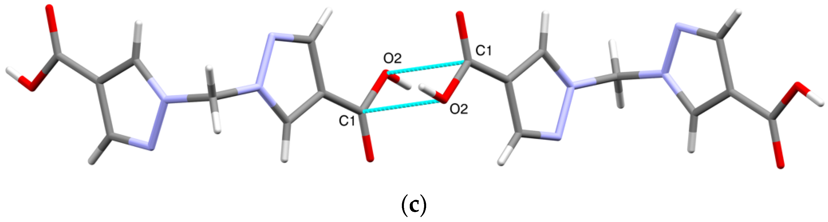 Molbank 2021 m1298 g003b