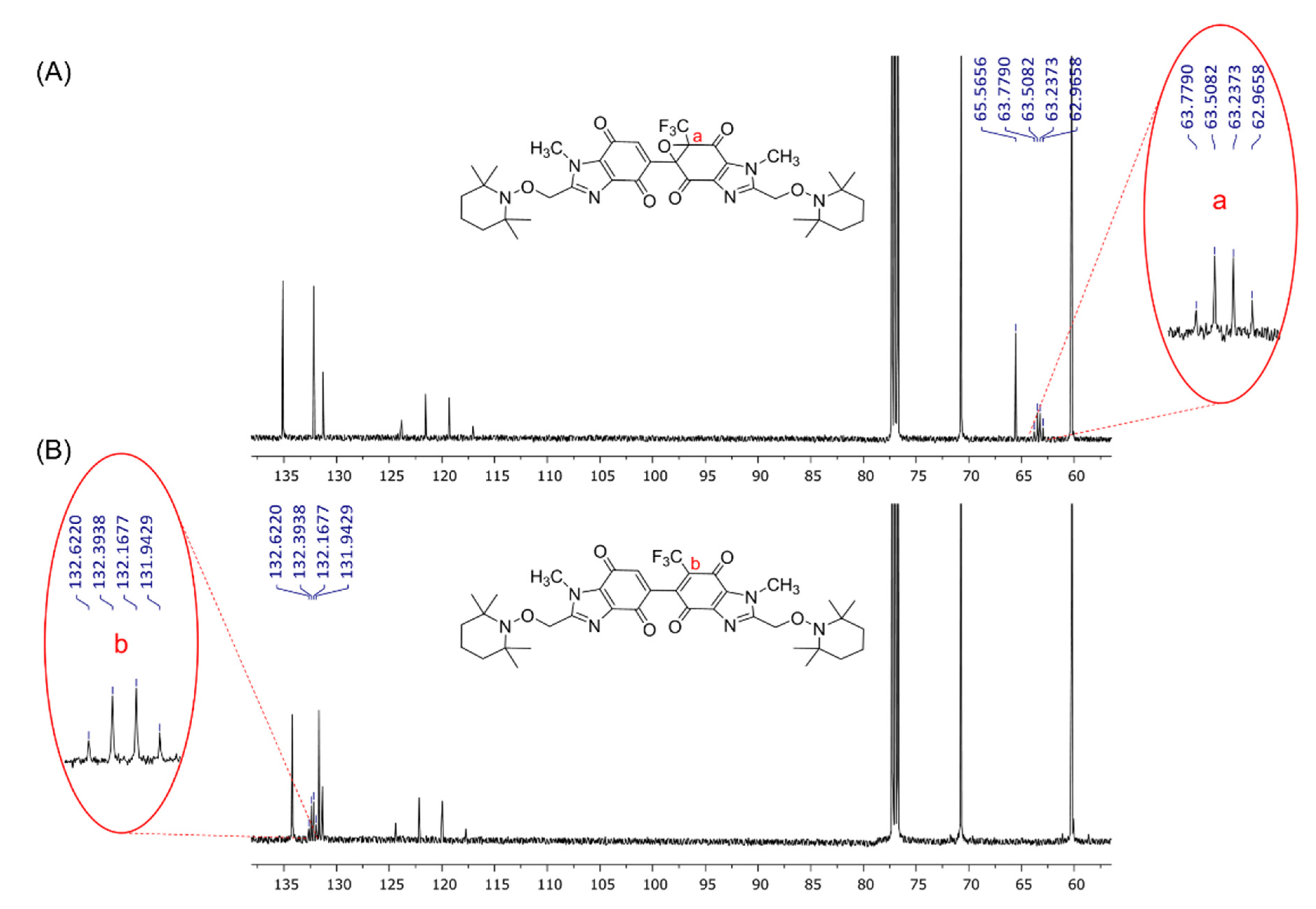 Molbank 2021 m1300 g002