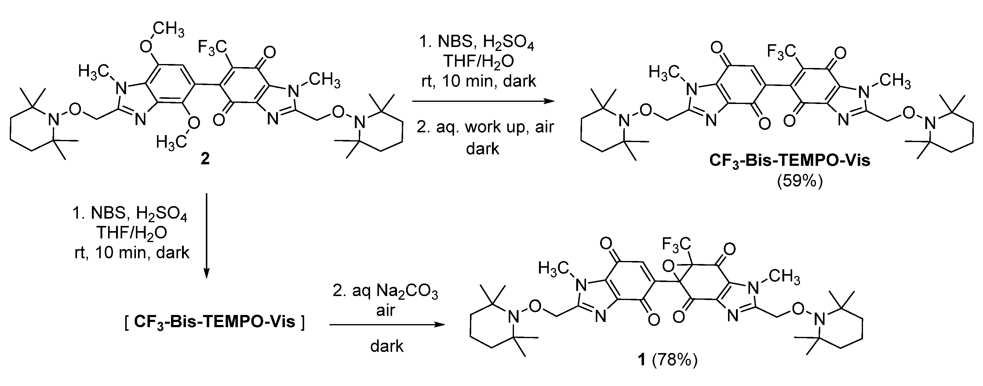 Molbank 2021 m1300 sch002