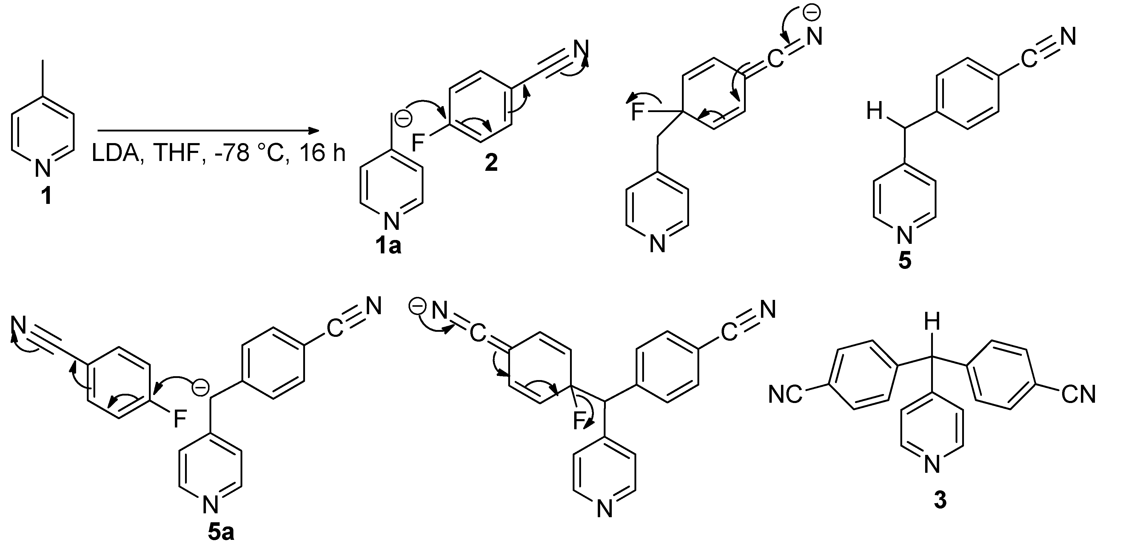Molbank 2021 m1302 g003