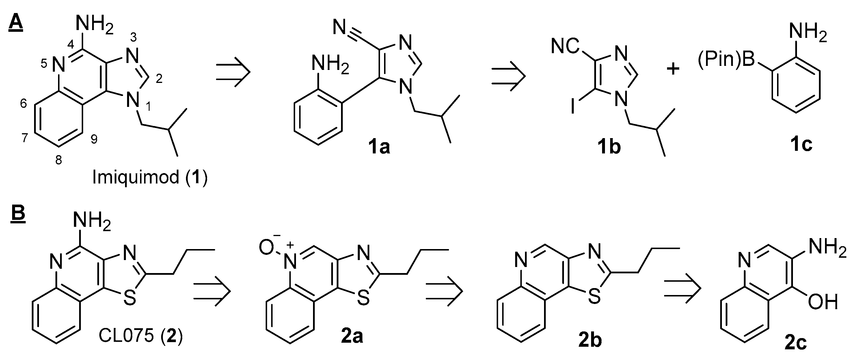Molbank 2021 m1305 g001