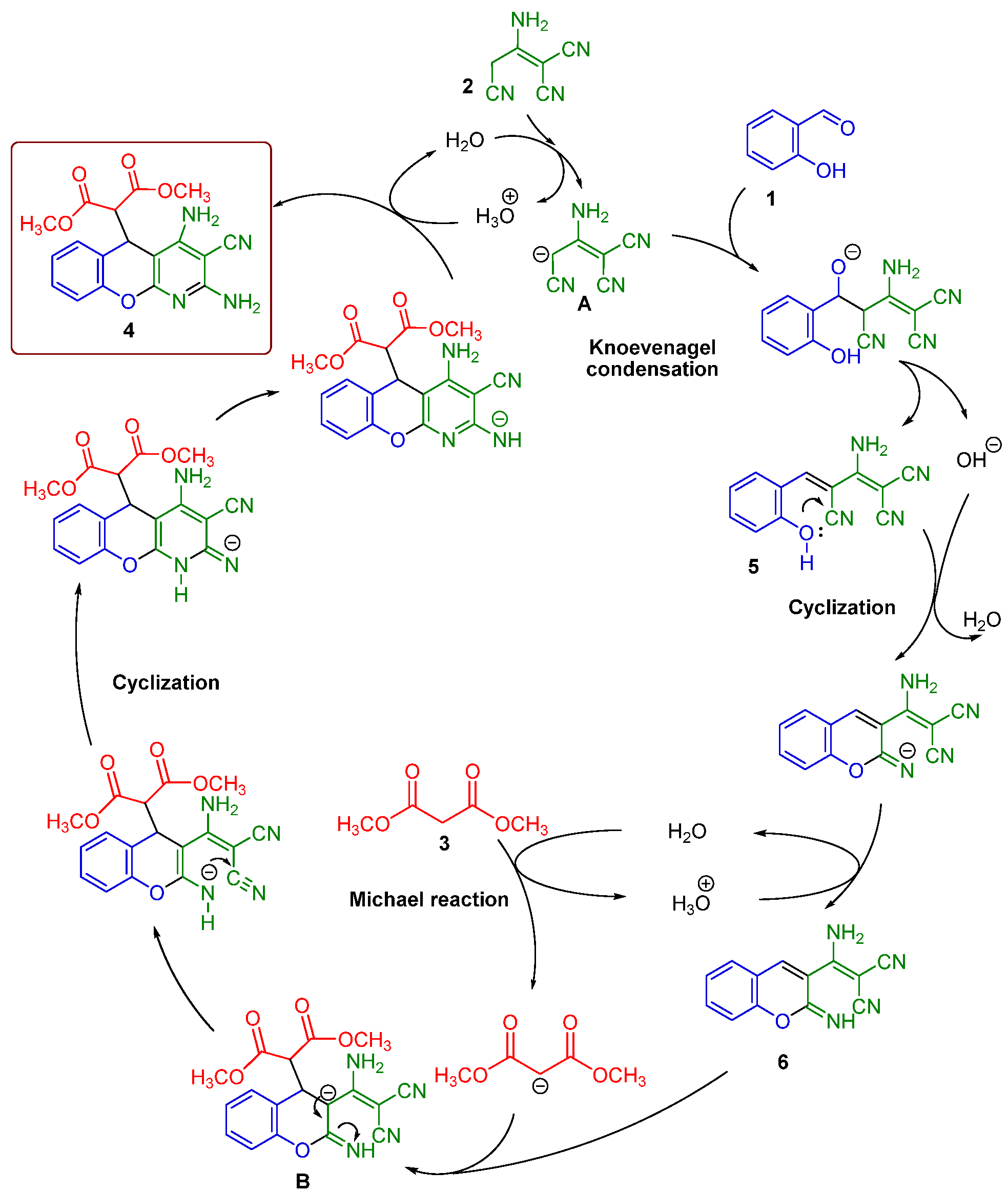Molbank 2022 m1308 sch003