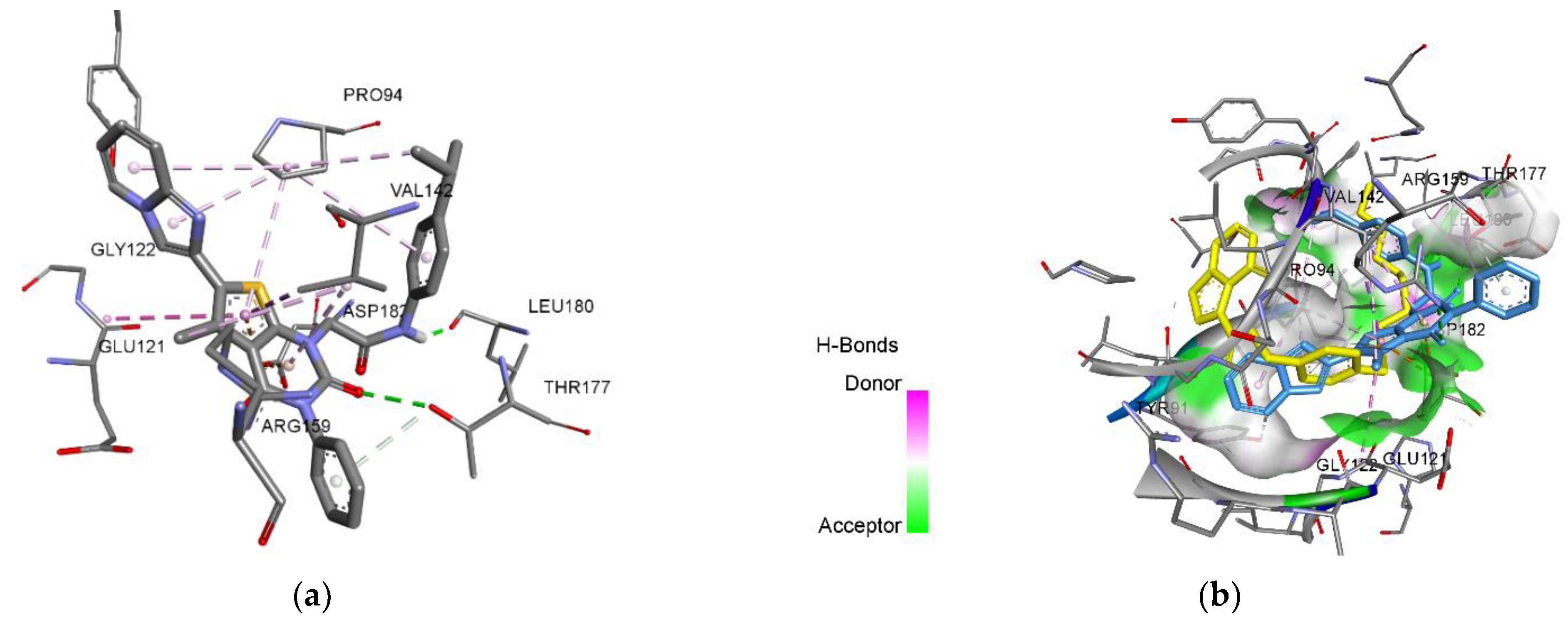 Molbank 2022 m1331 g003