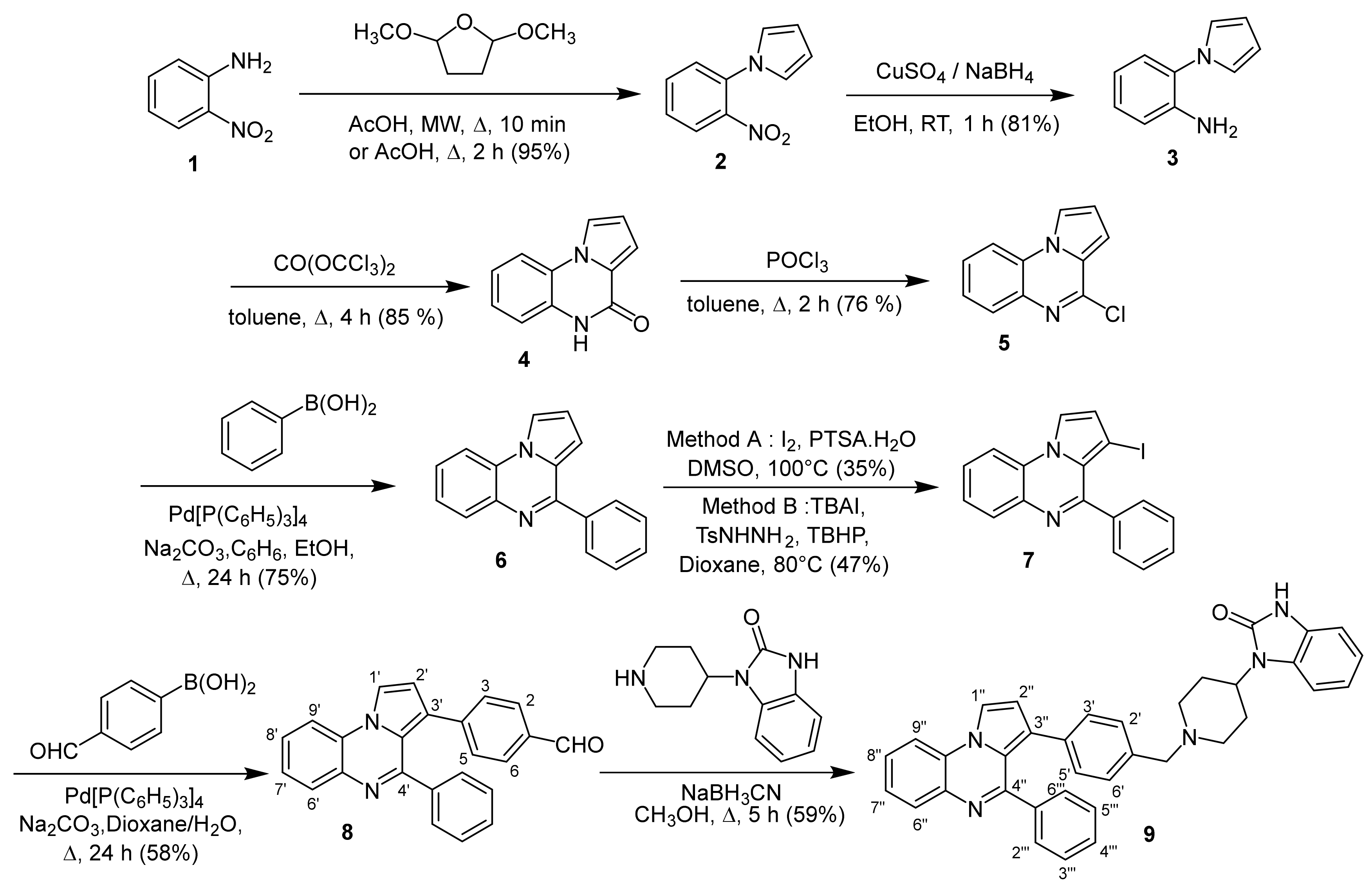 Molbank 2022 m1333 sch001