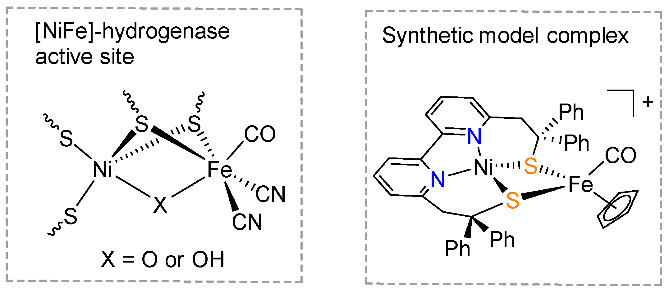 Molbank 2022 m1355 sch001