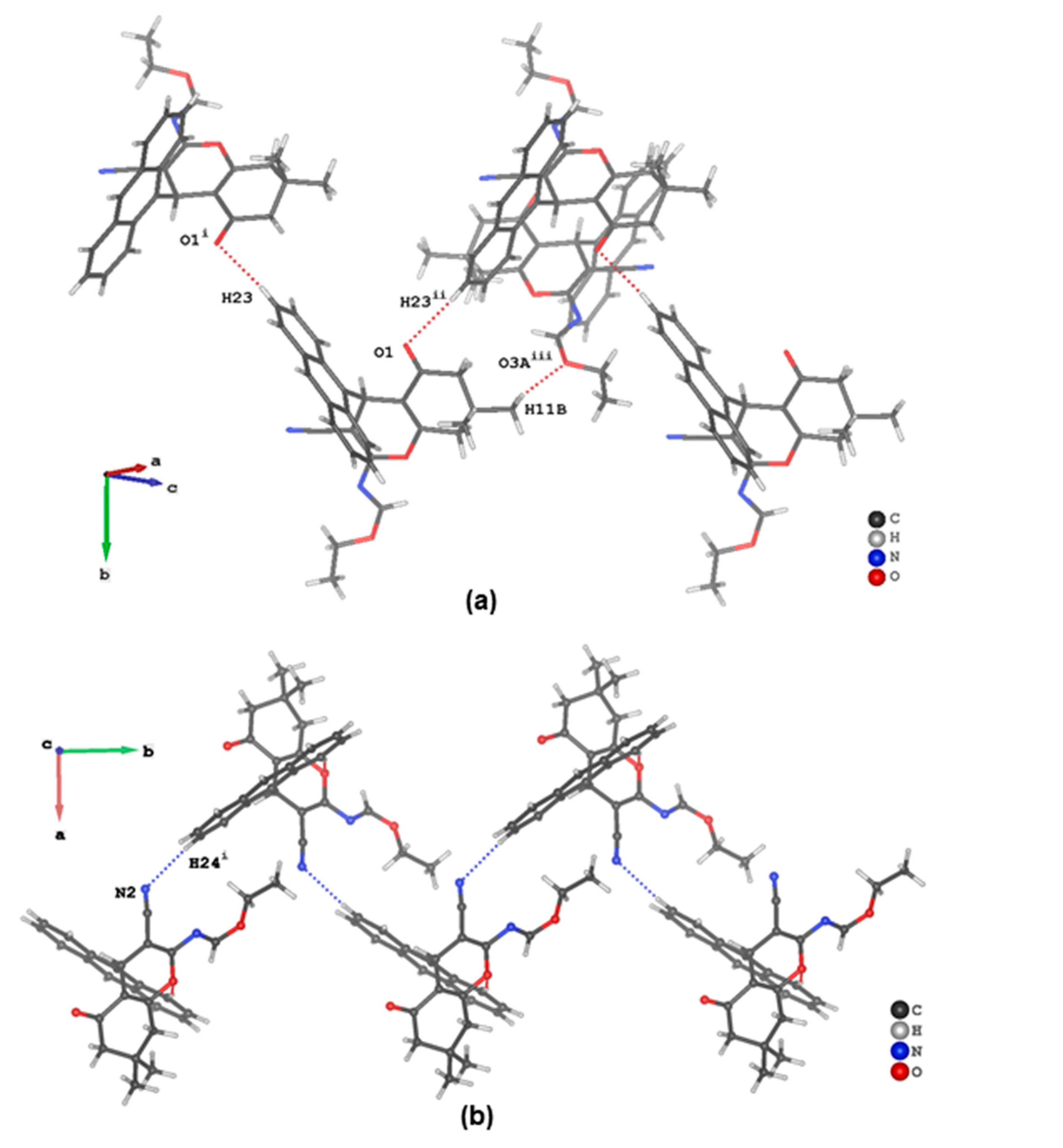 Molbank 2022 m1364 g004