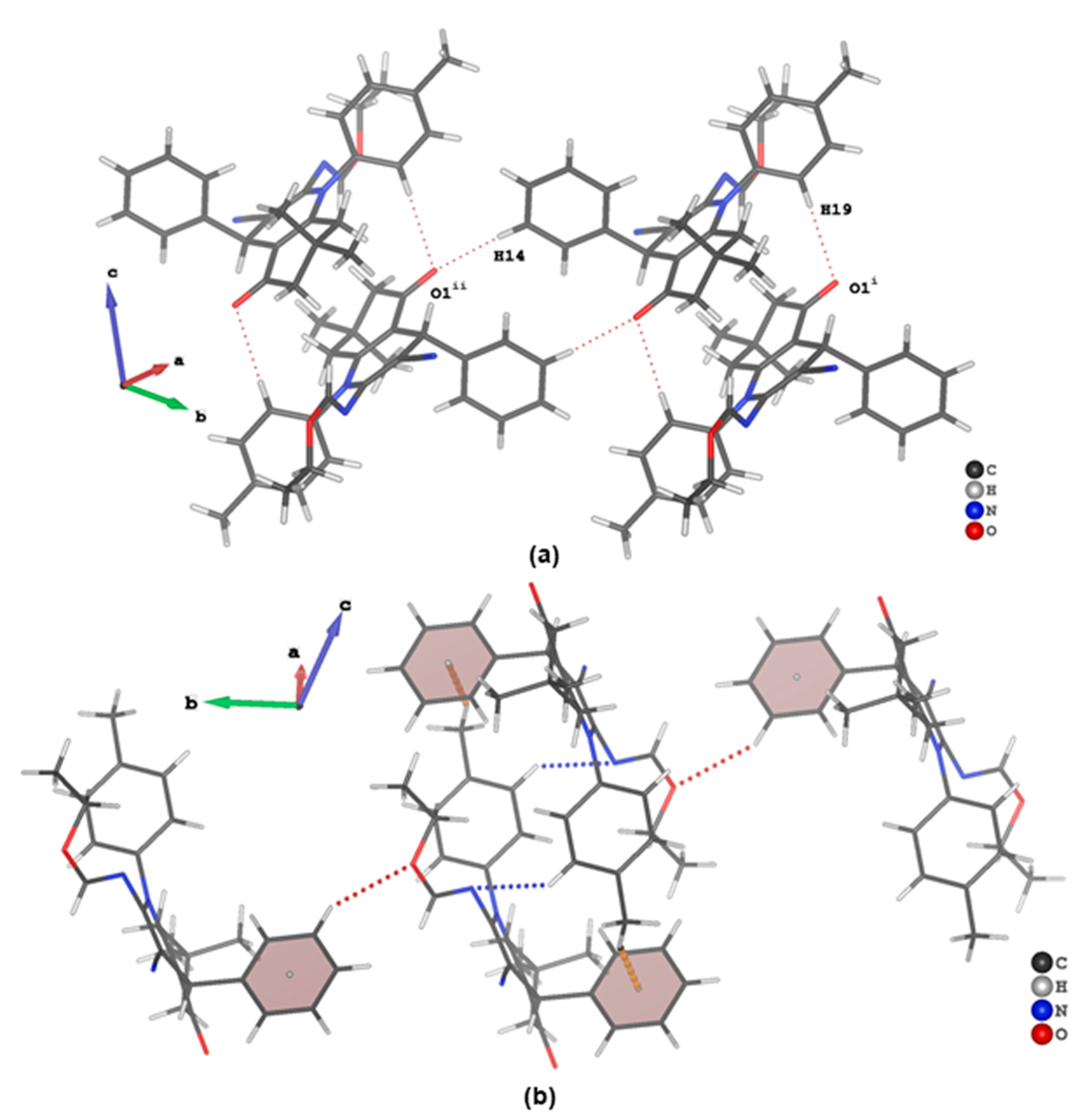 Molbank 2022 m1364 g006