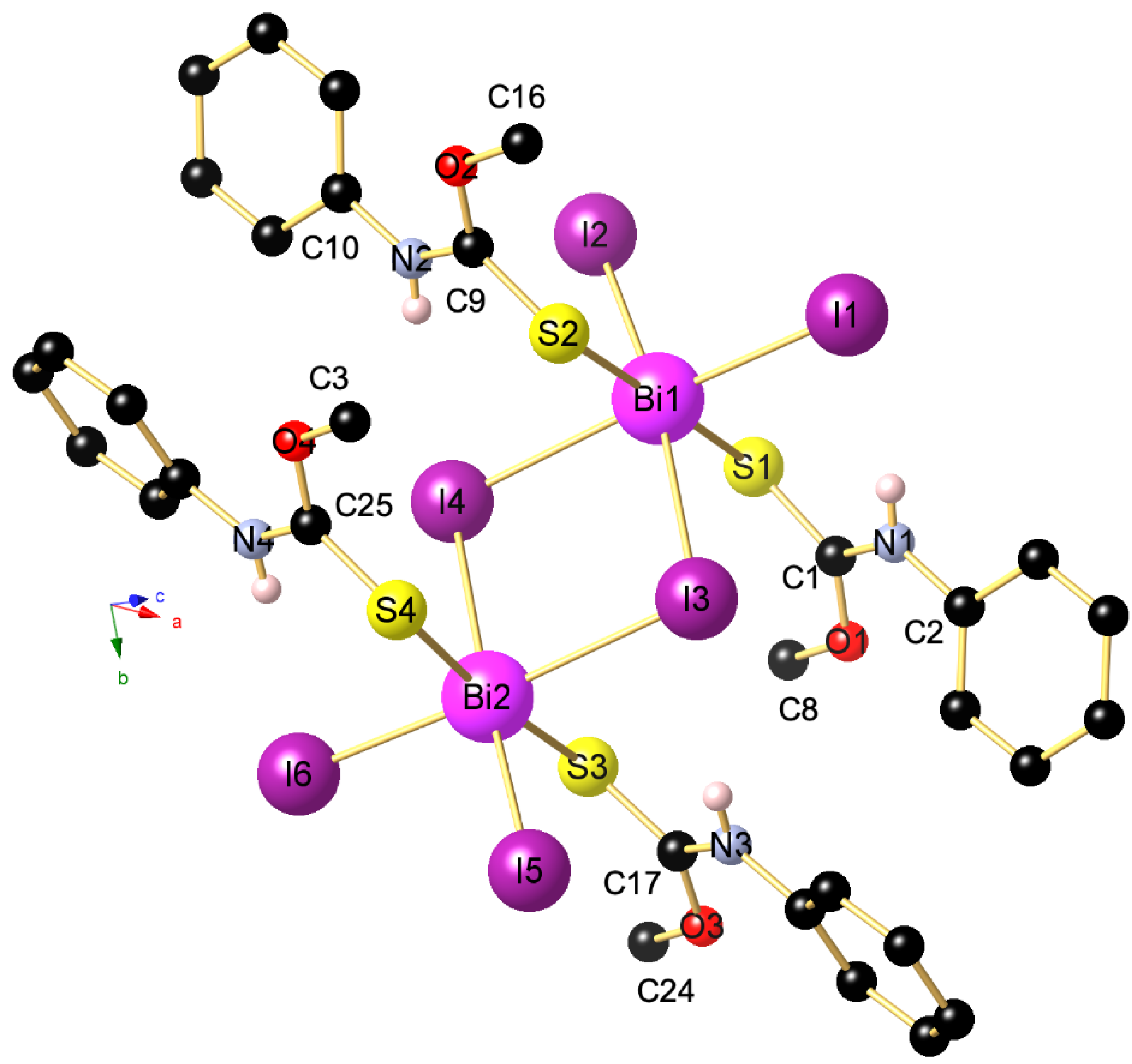 Molbank 2022 m1381 g002