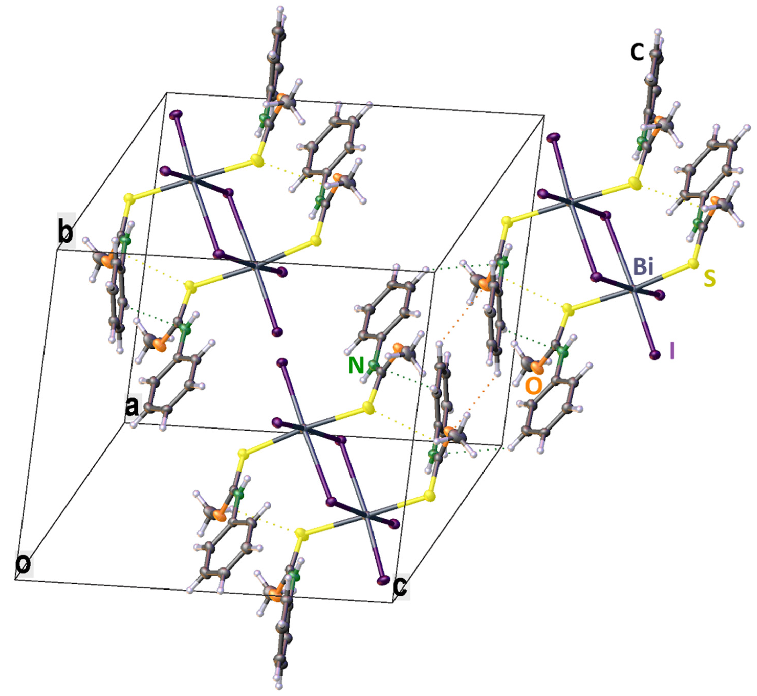 Molbank 2022 m1381 g003