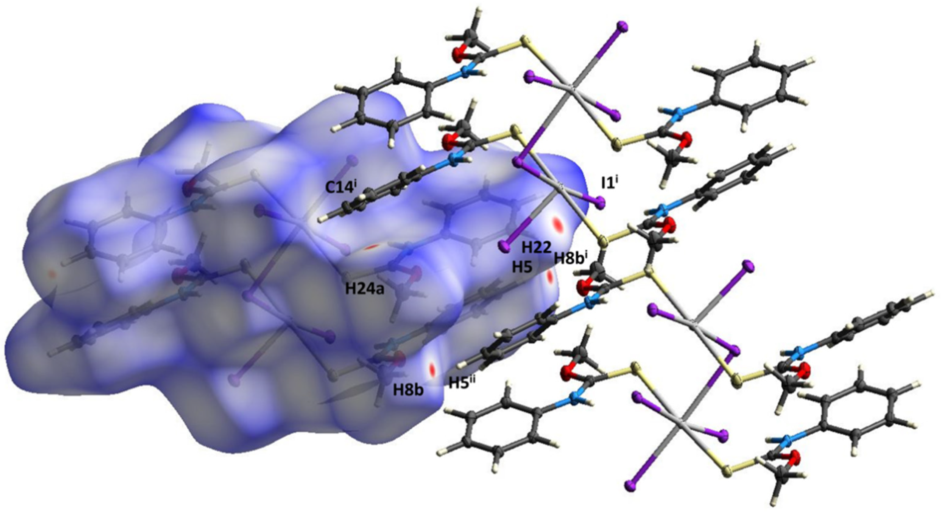 Molbank 2022 m1381 g004