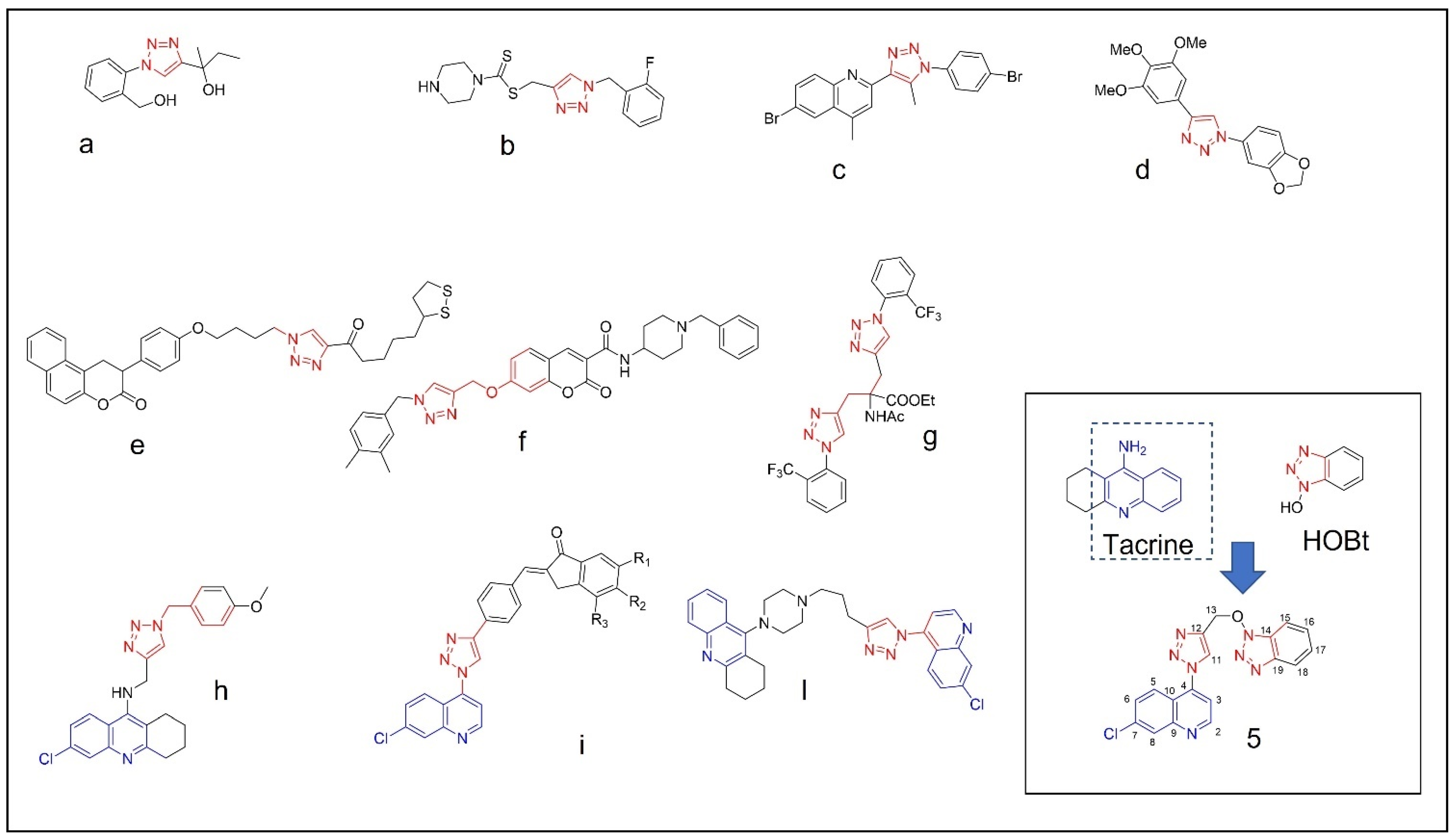 Molbank 2022 m1404 g001