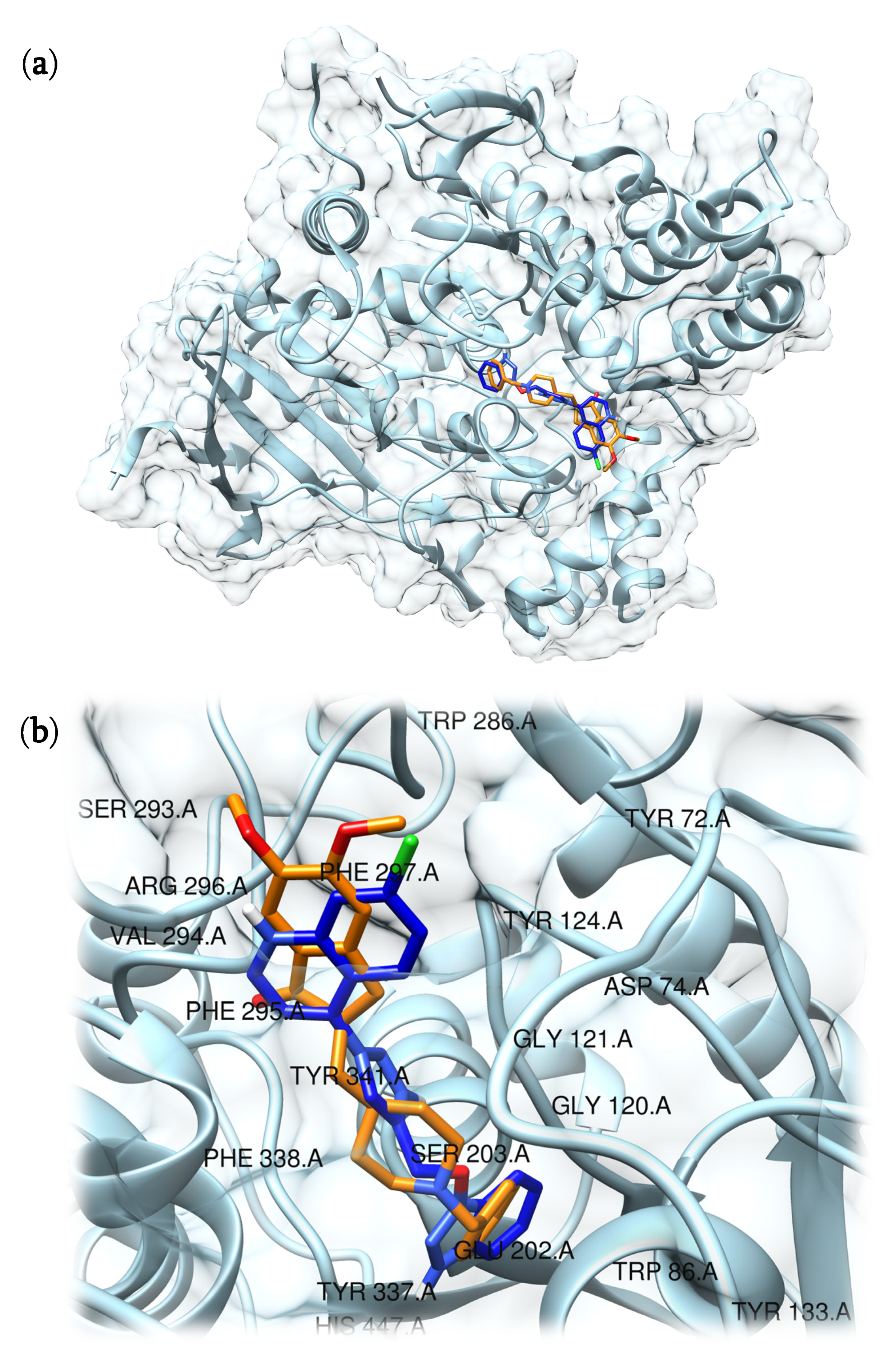 Molbank 2022 m1404 g002