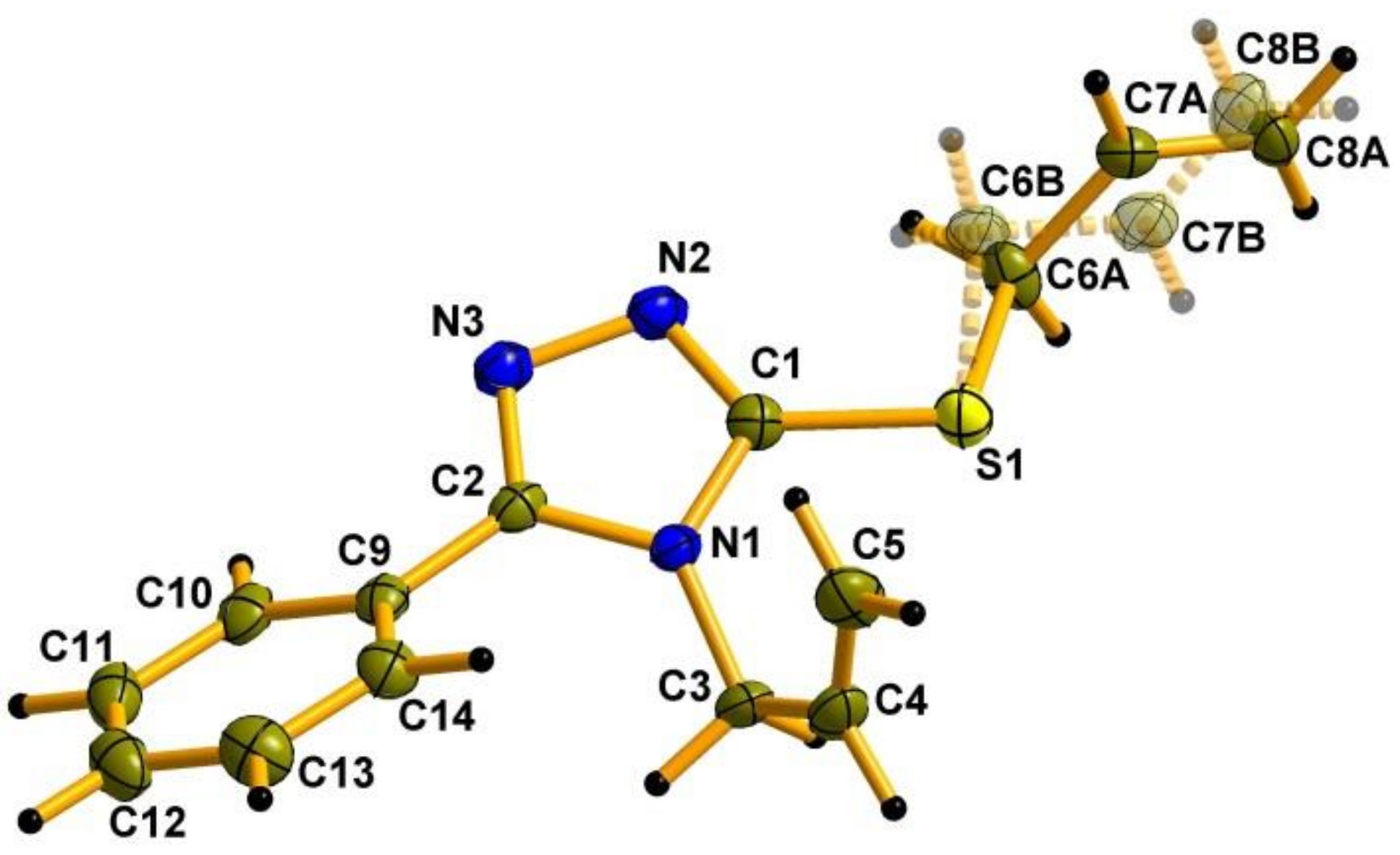 Molbank 2022 m1405 g002