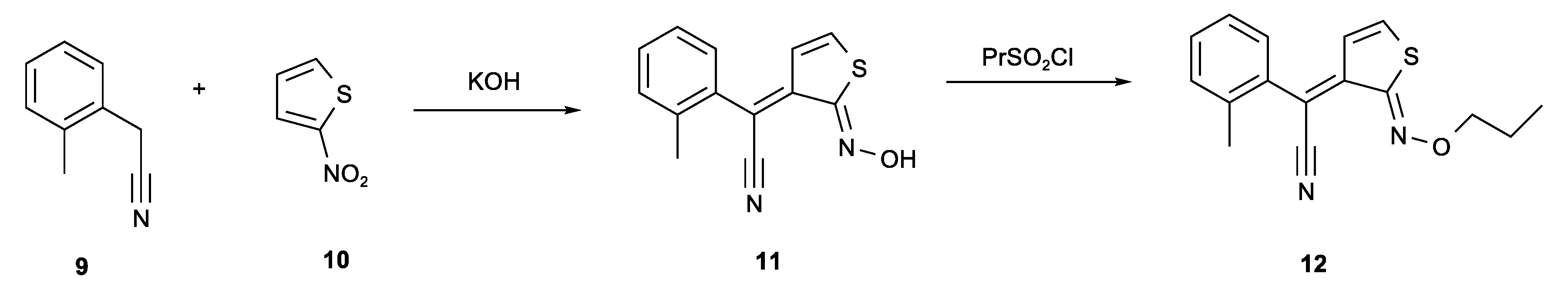 Molbank 2022 m1406 g003