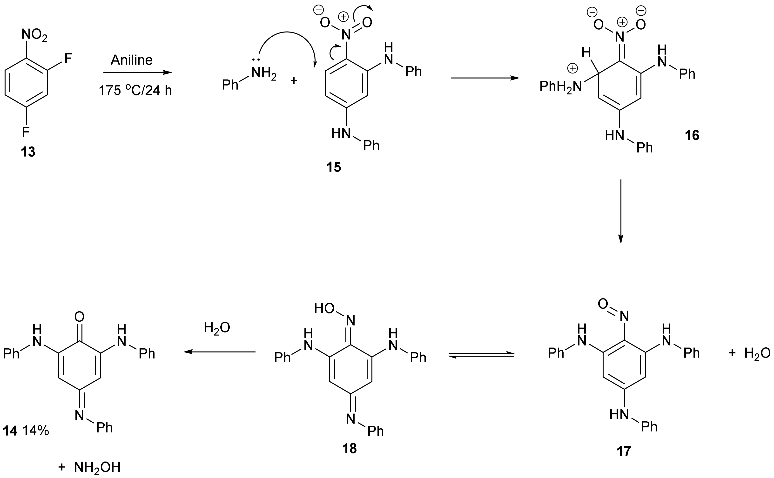 Molbank 2022 m1406 g005