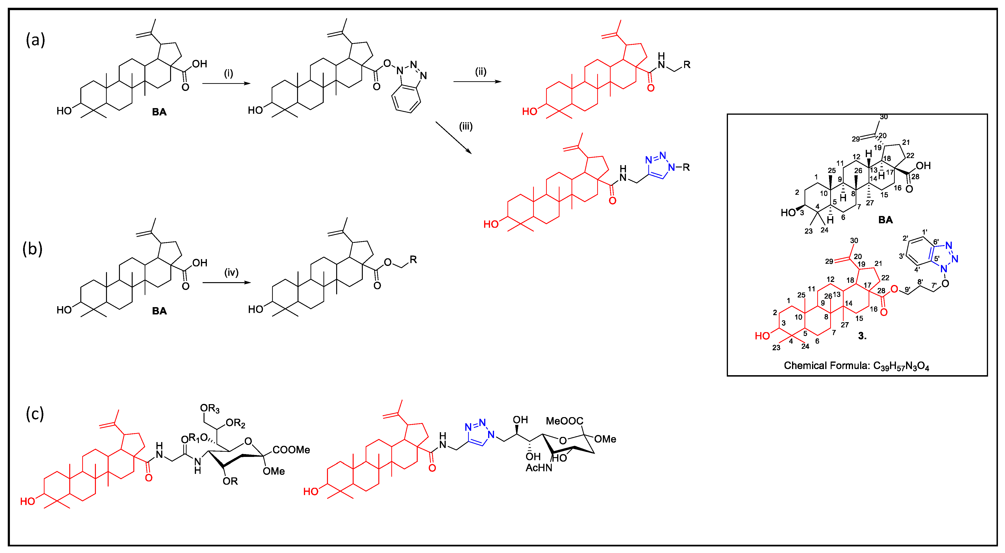 Molbank 2022 m1419 g001