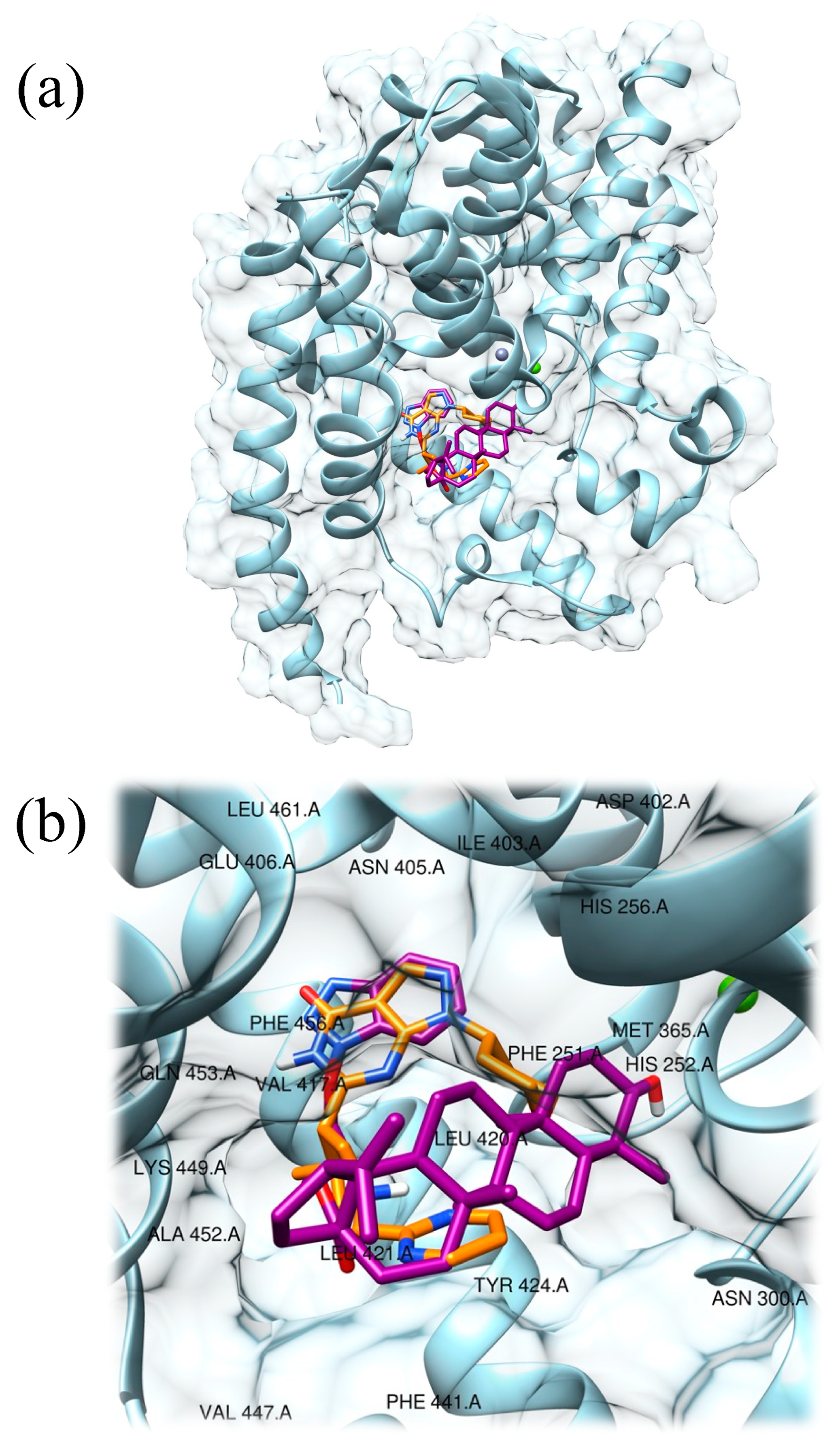 Molbank 2022 m1419 g002