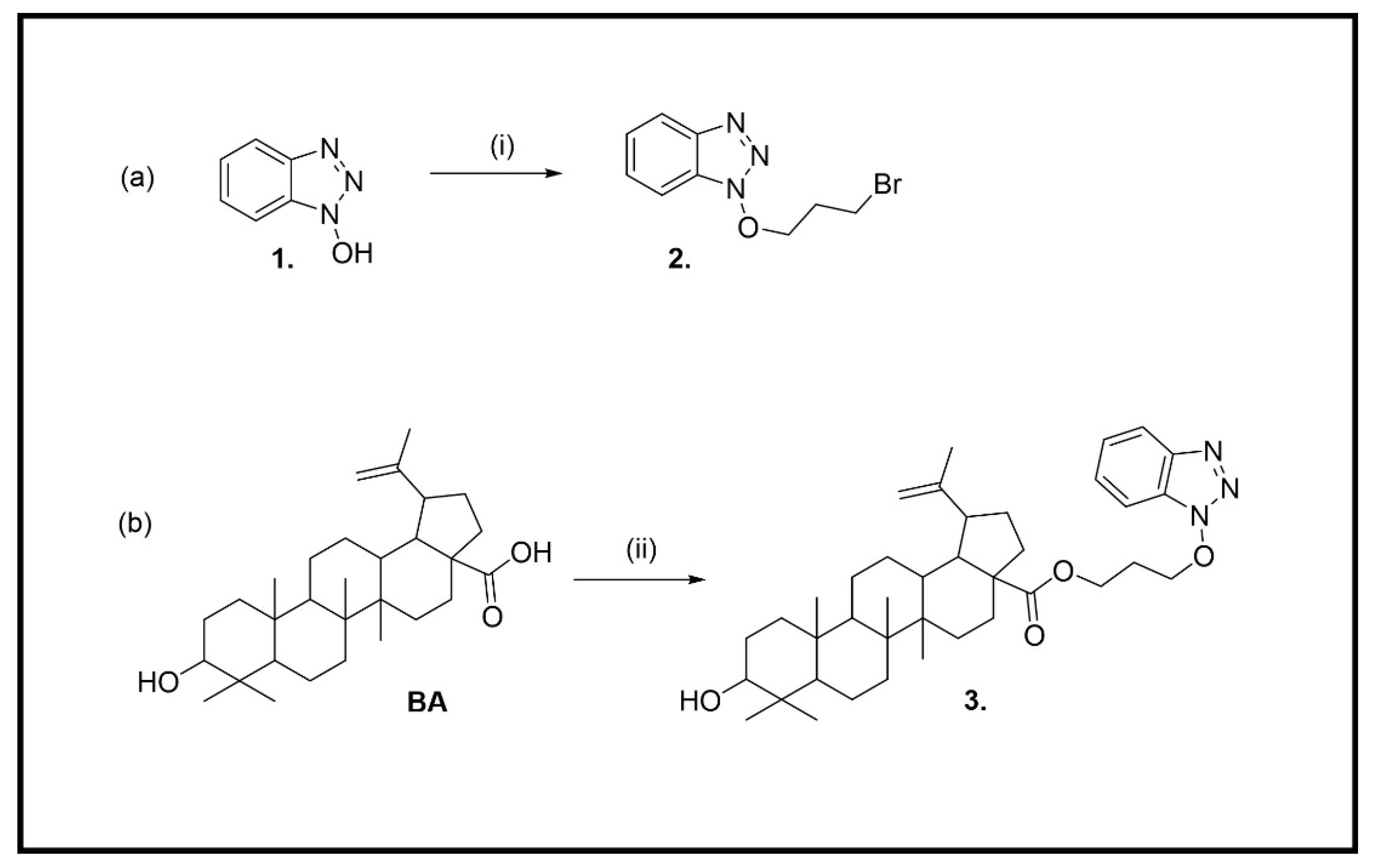 Molbank 2022 m1419 sch001