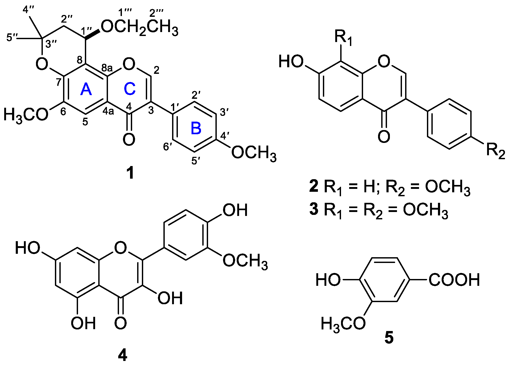 Molbank 2022 m1422 g001