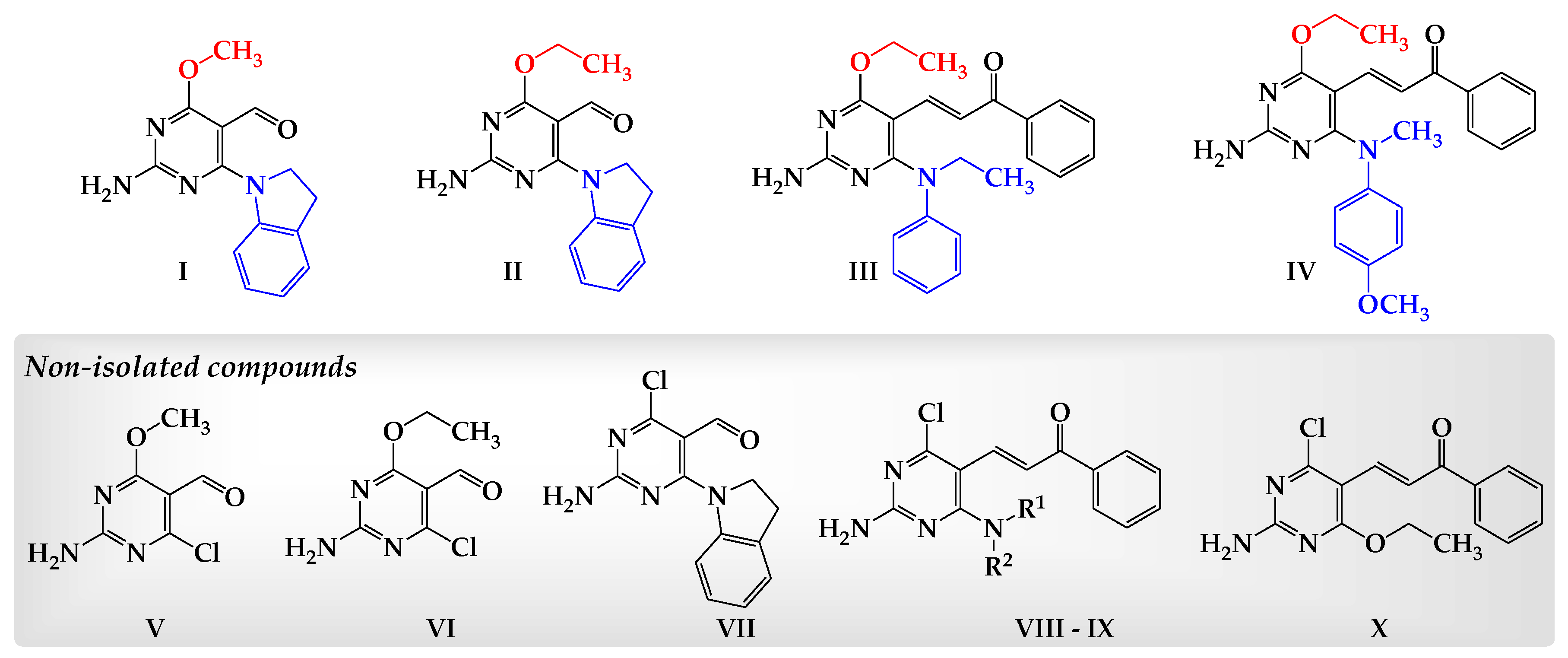 Molbank 2022 m1426 g001