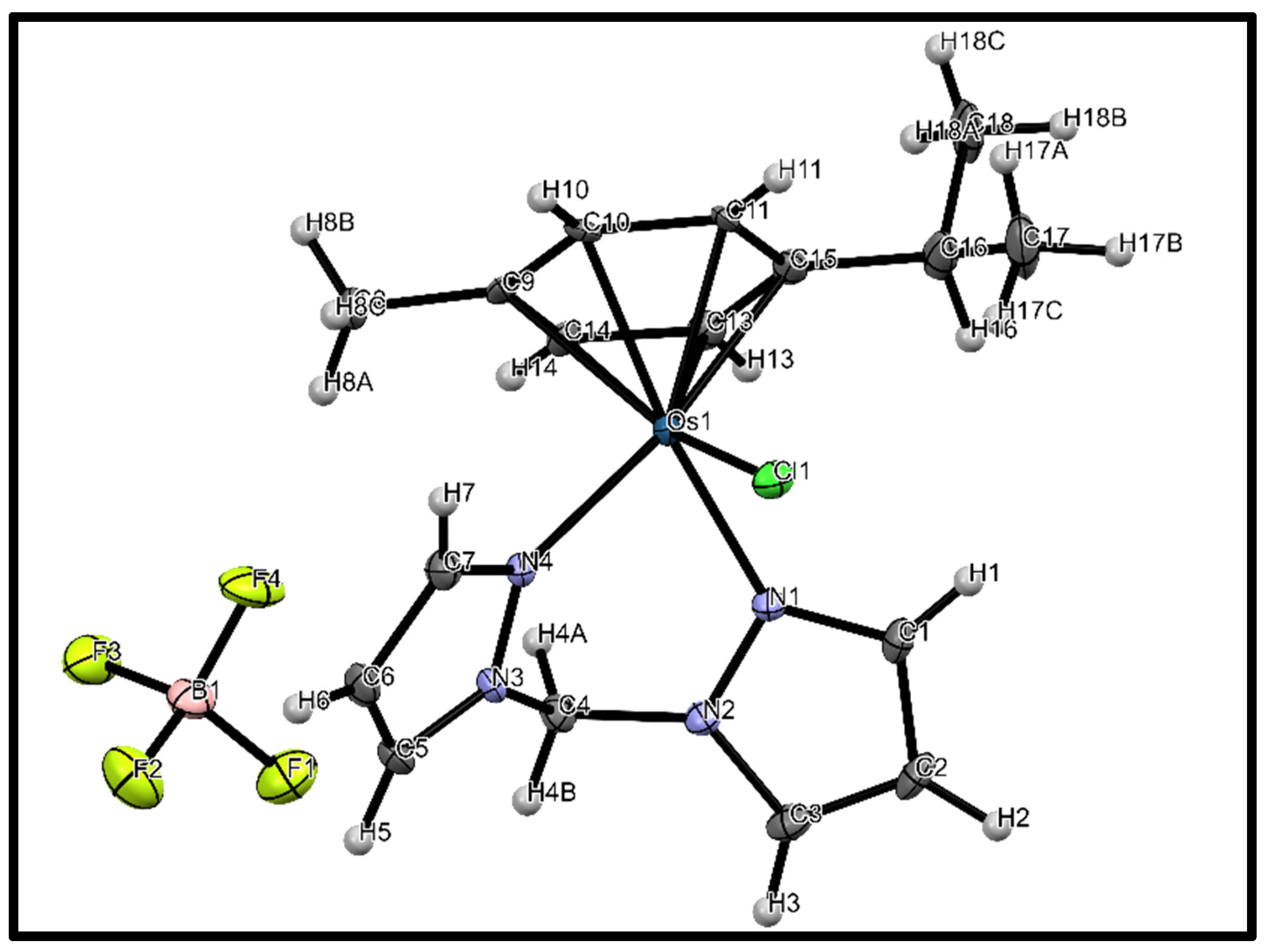 Molbank 2022 m1429 g001