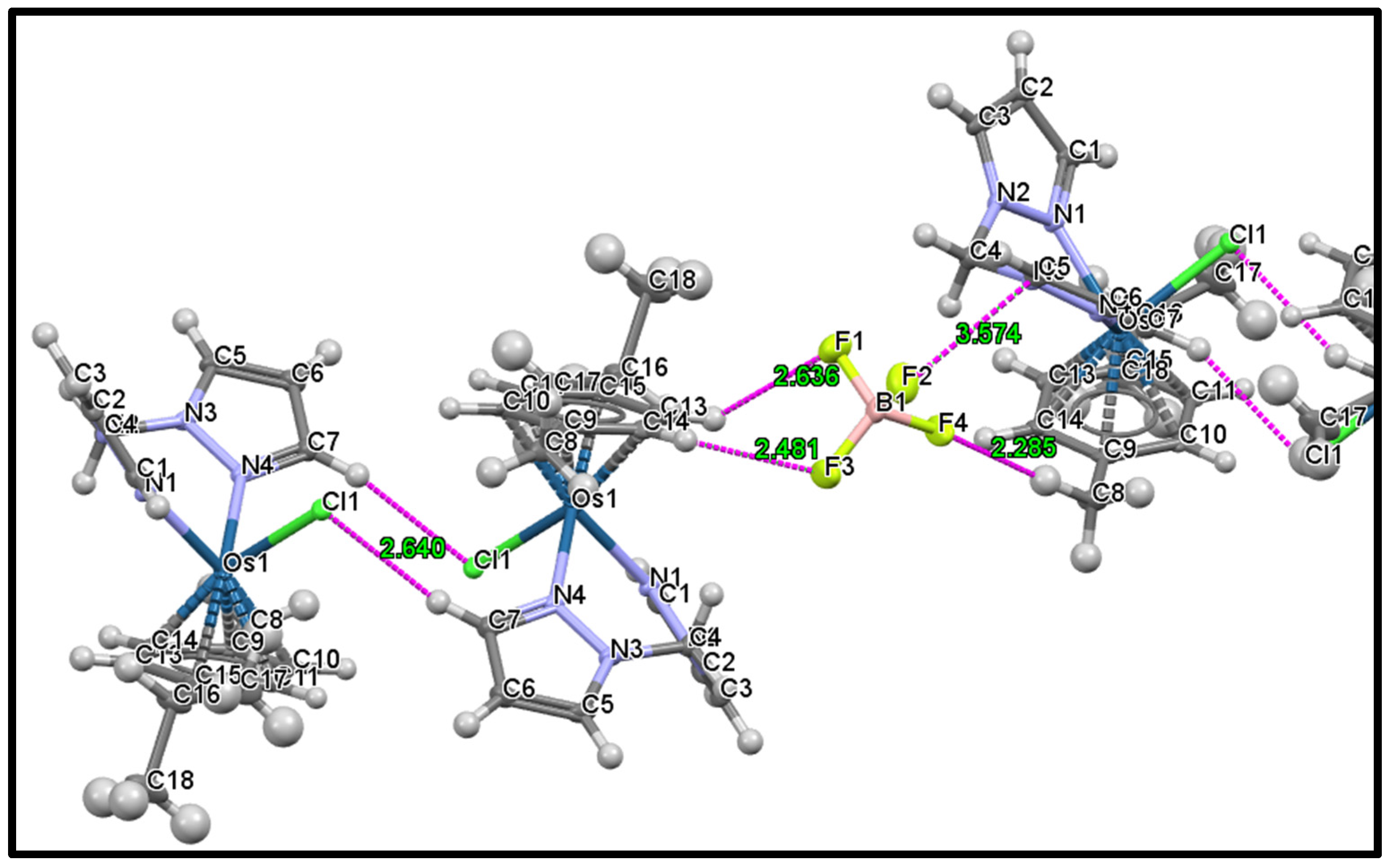 Molbank 2022 m1429 g003