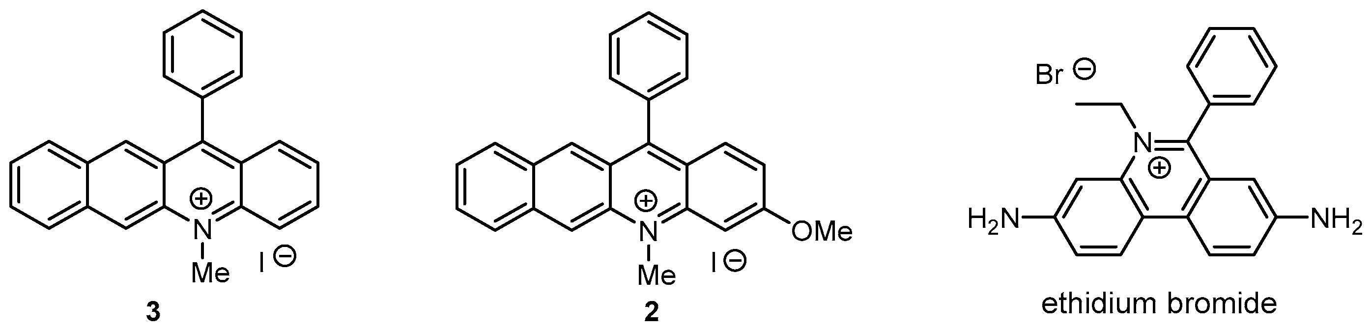 Molbank 2022 m1431 g001