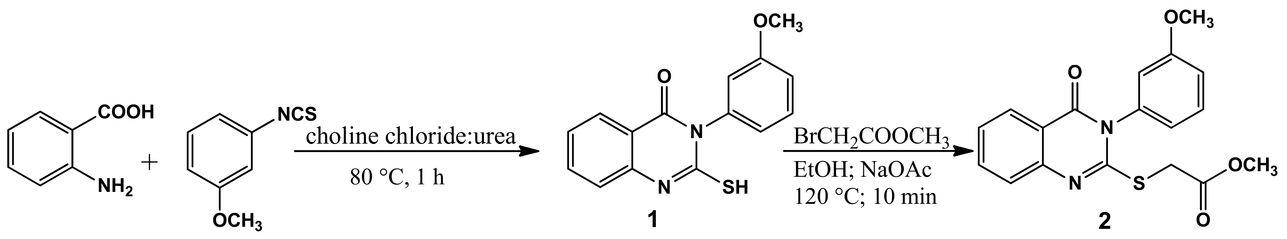 Molbank 2022 m1434 g002
