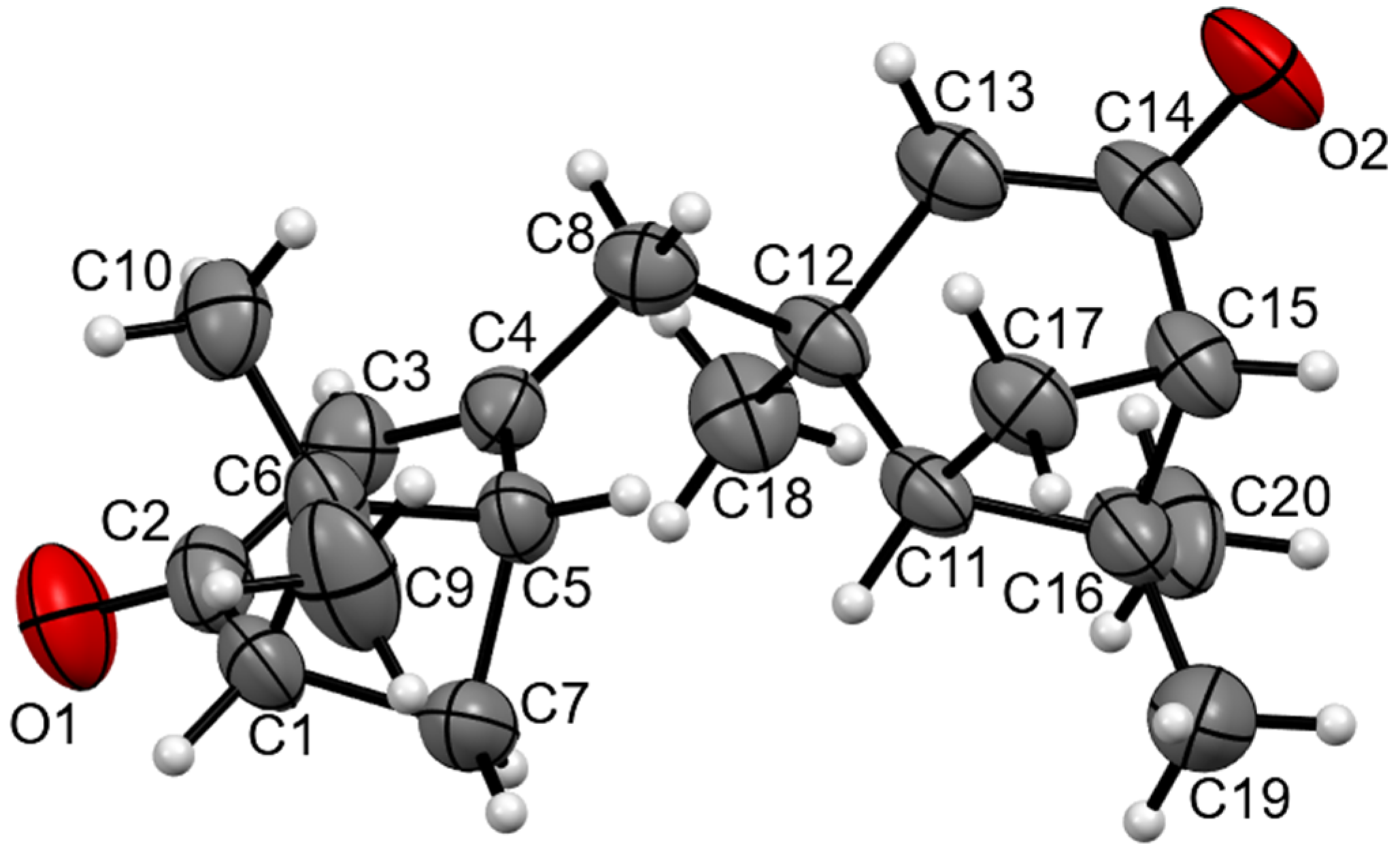 Molbank 2022 m1465 g001