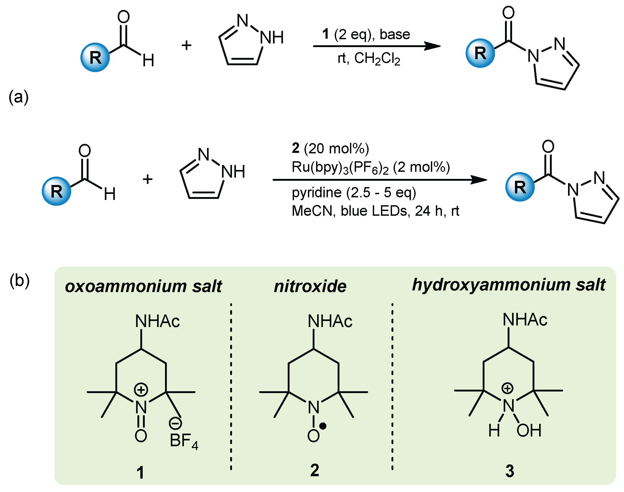 Molbank 2022 m1468 g001