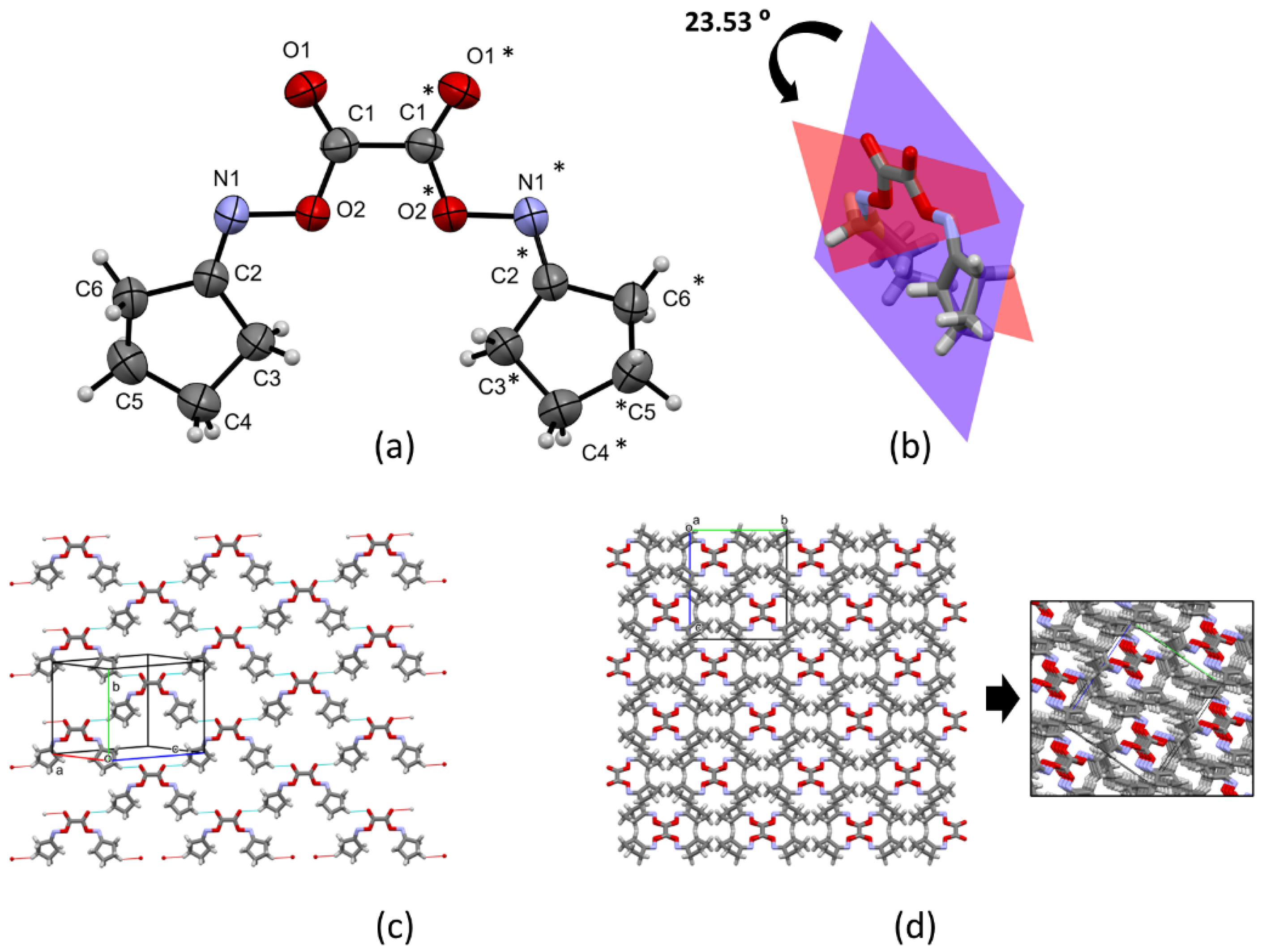 Molbank 2022 m1473 g001